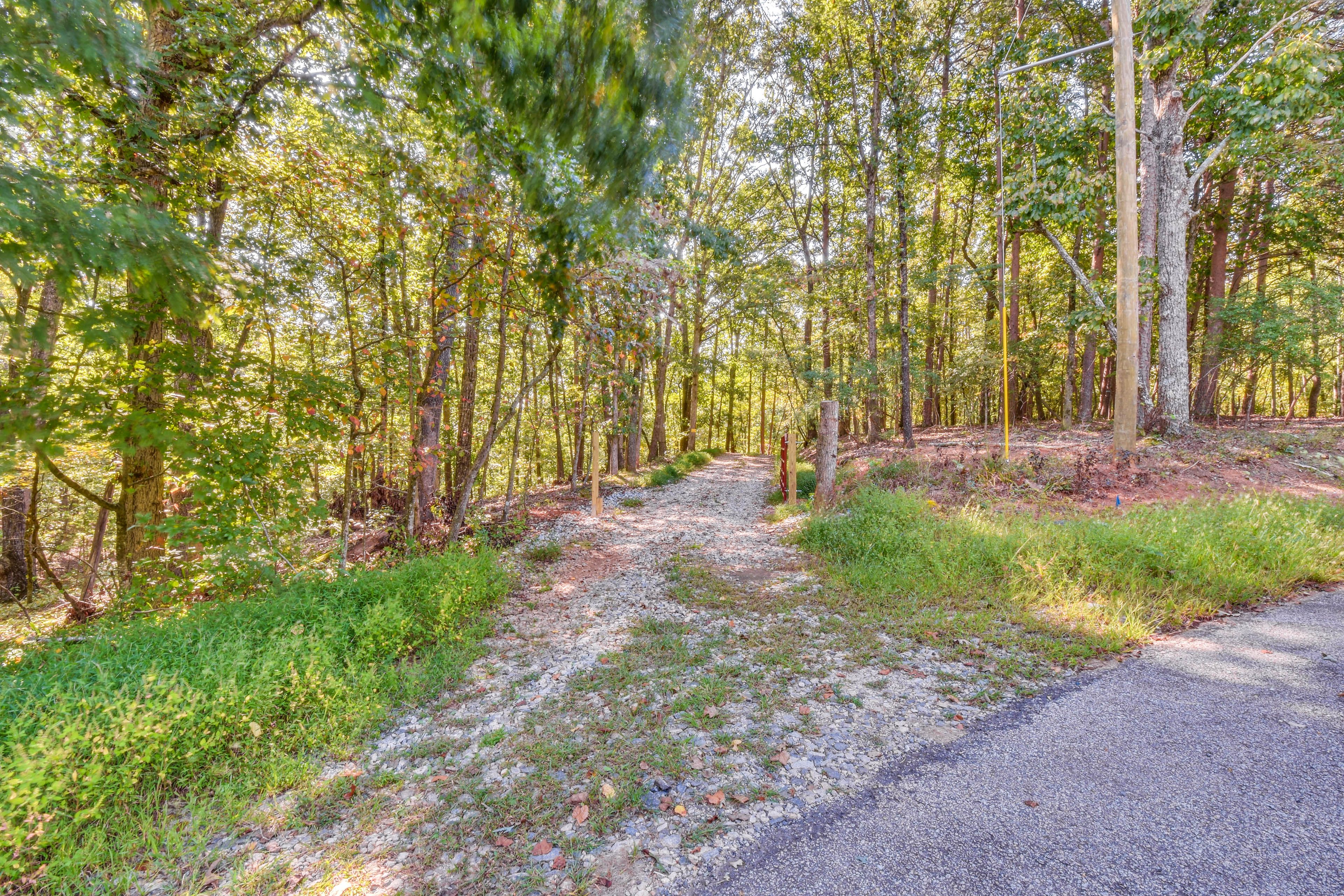 Walking Path to Lake Lanier