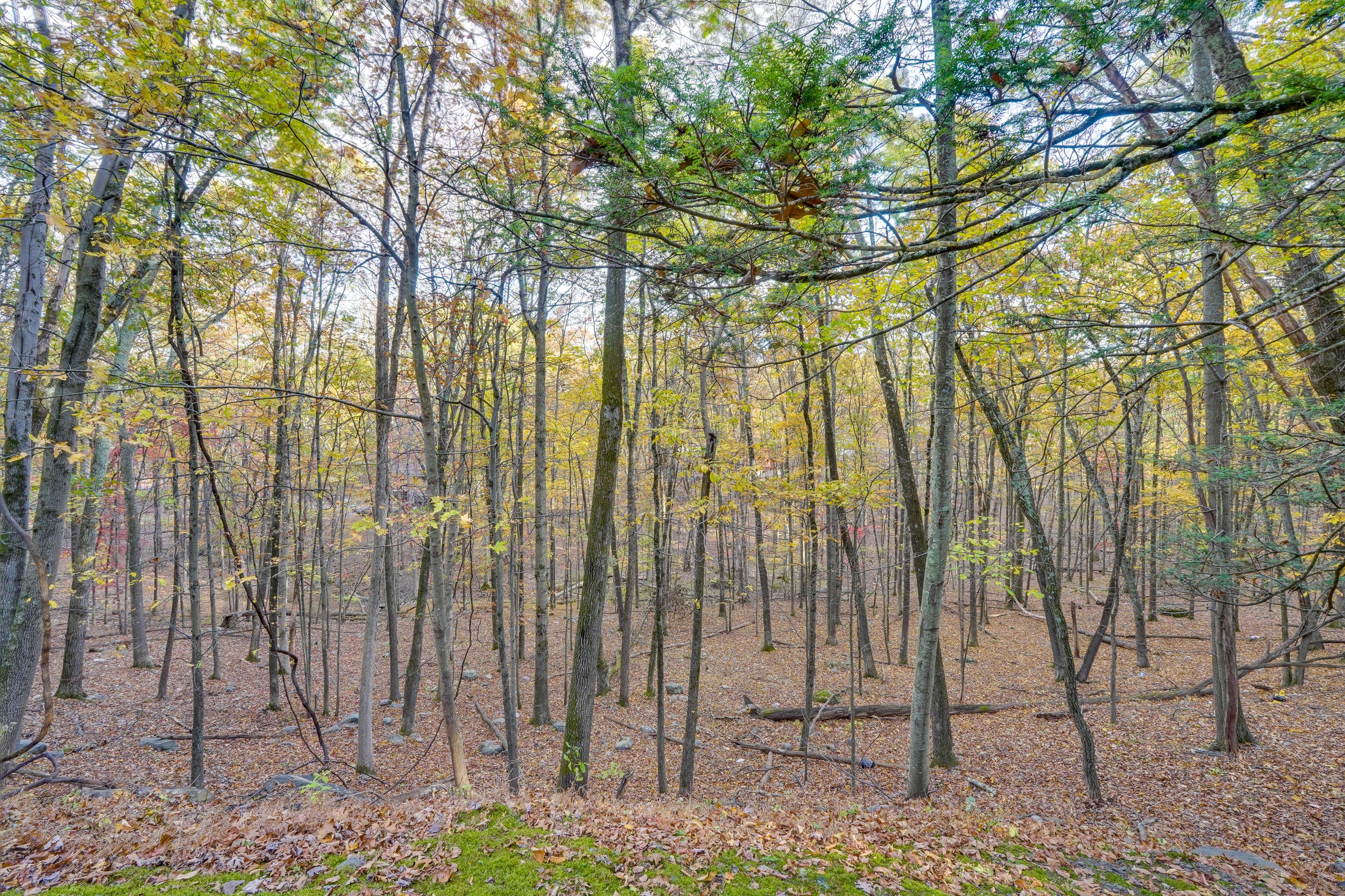 Surrounding Area