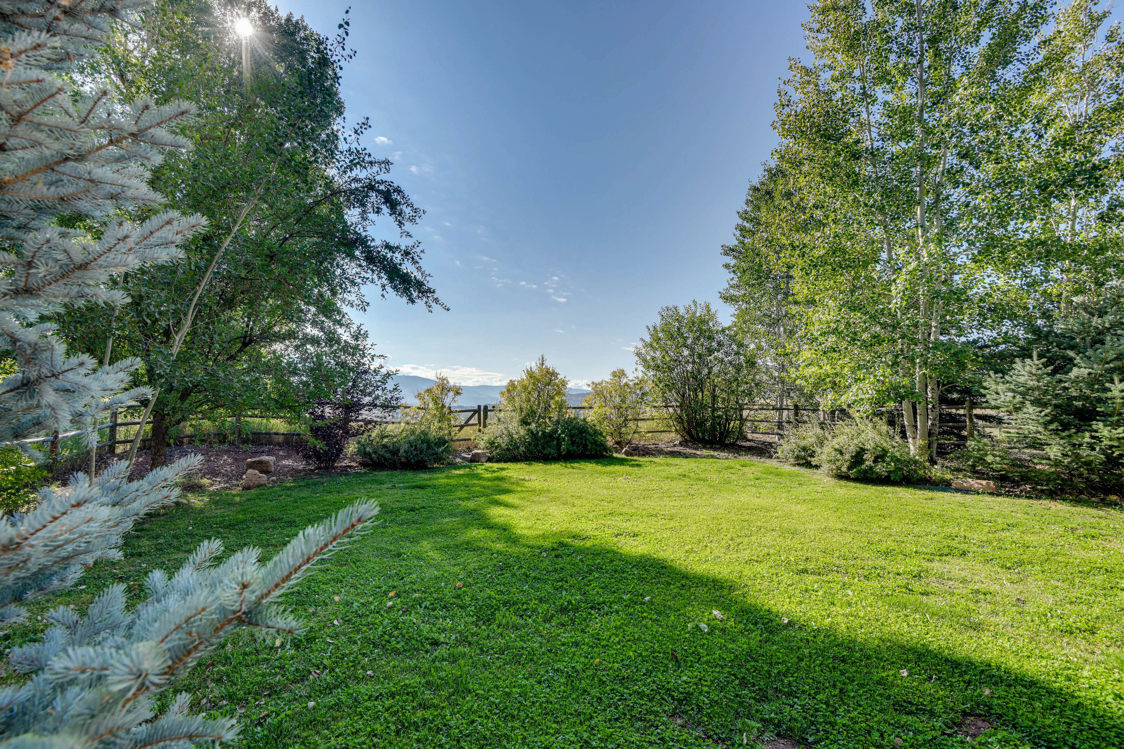 Fenced Backyard