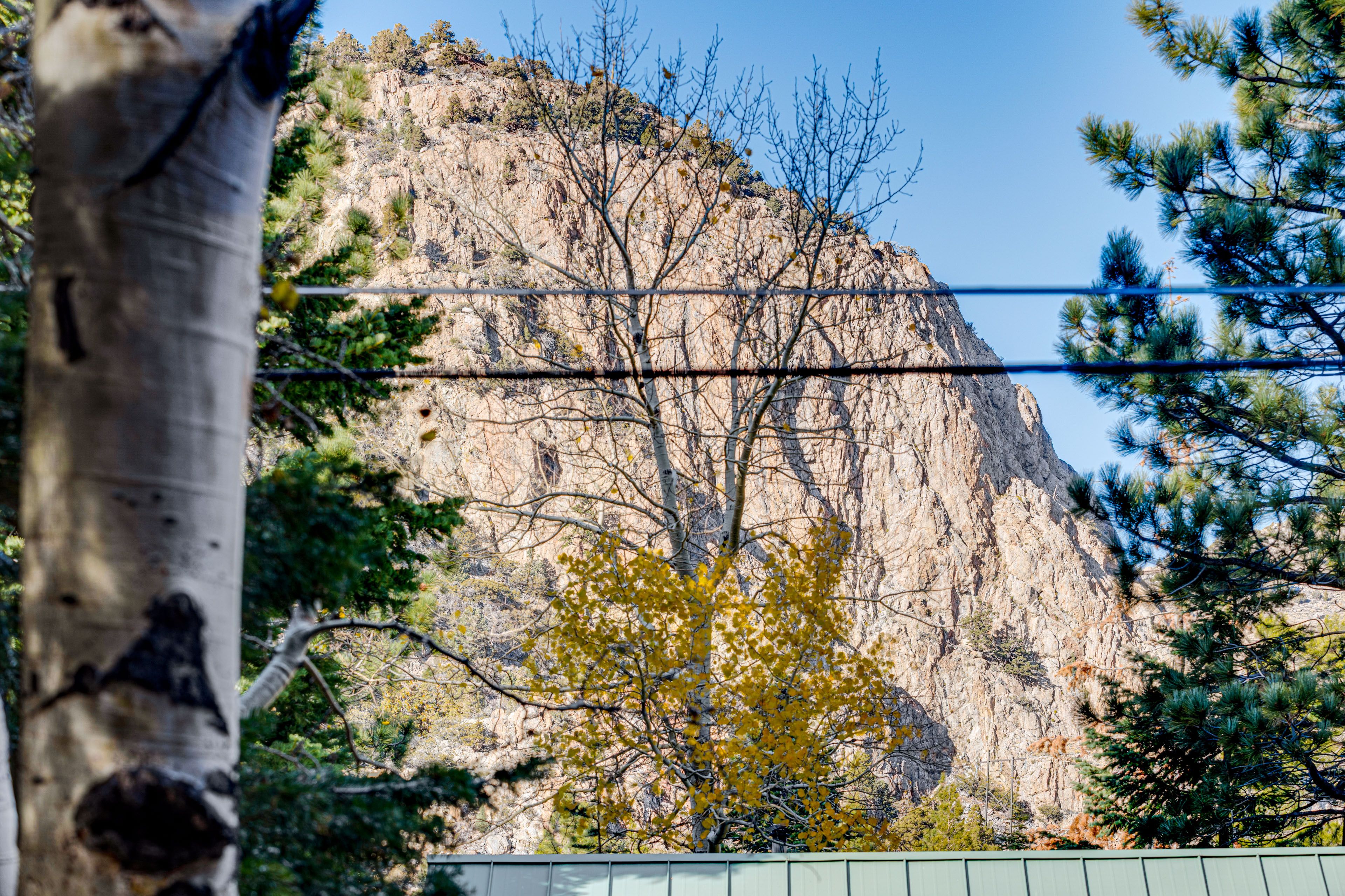 Property Surroundings