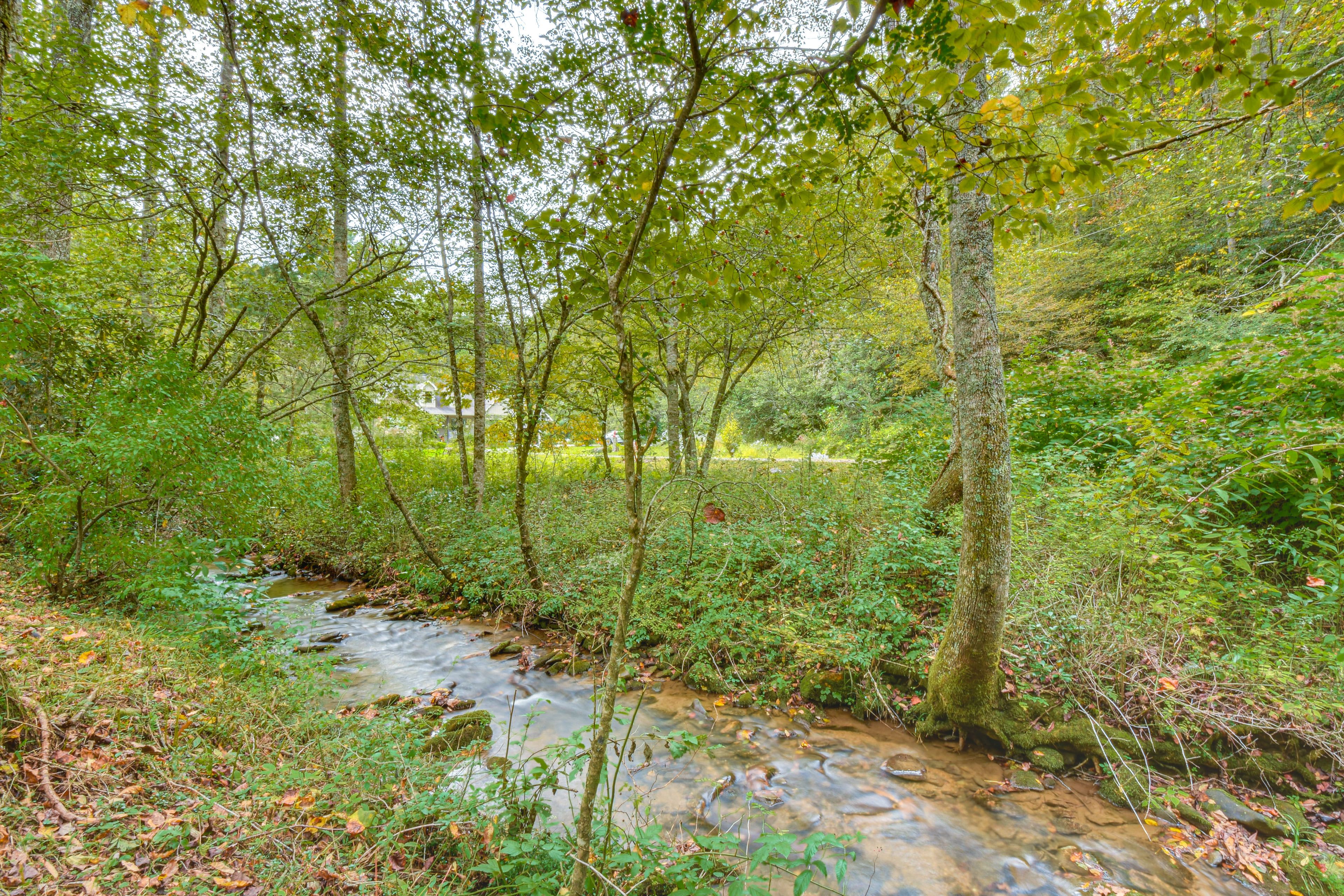 On-Site Creek Access | Fishing Allowed