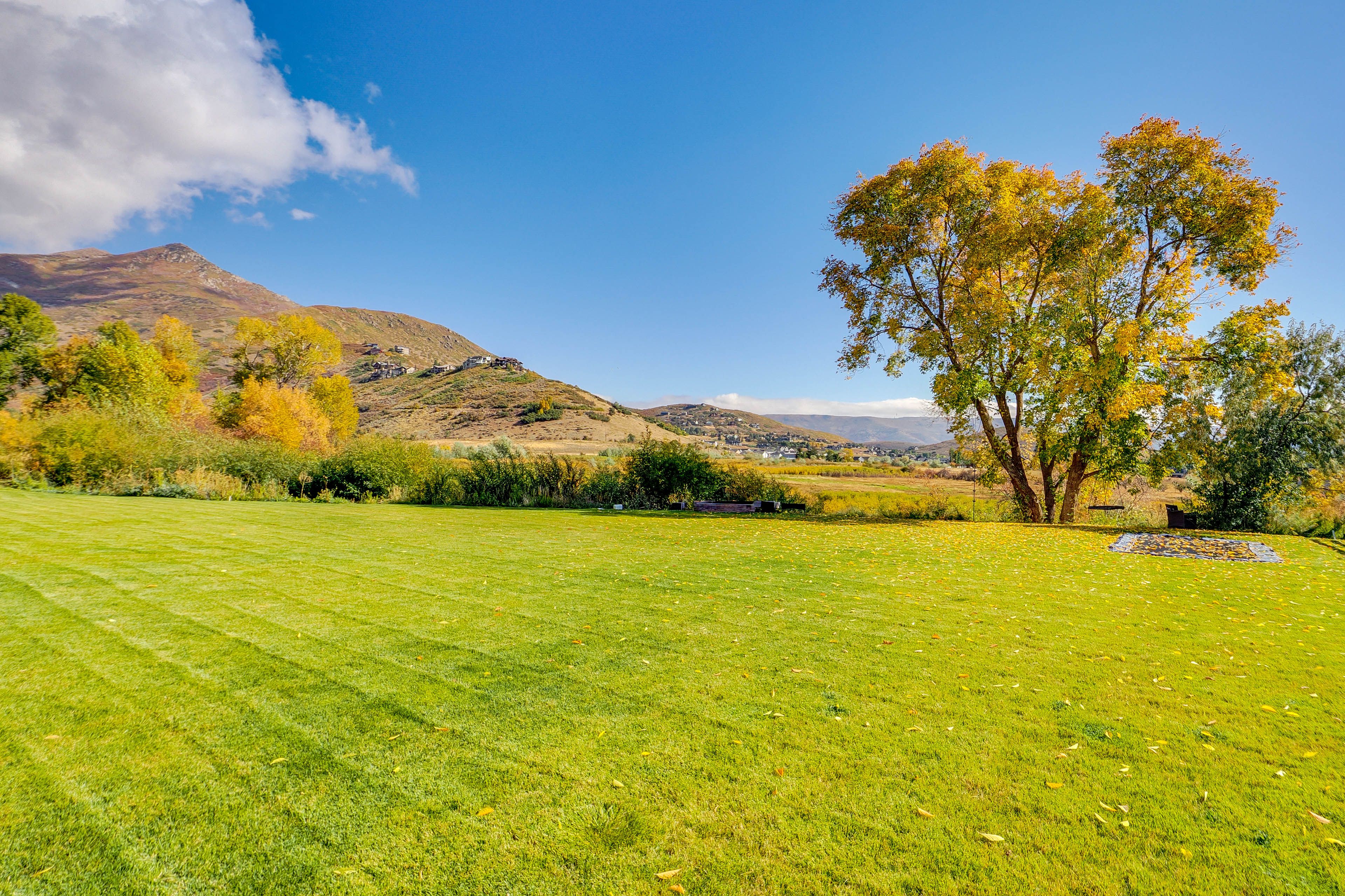 Shared Backyard | In-Ground Trampoline | Rope Swing | Tree Swing