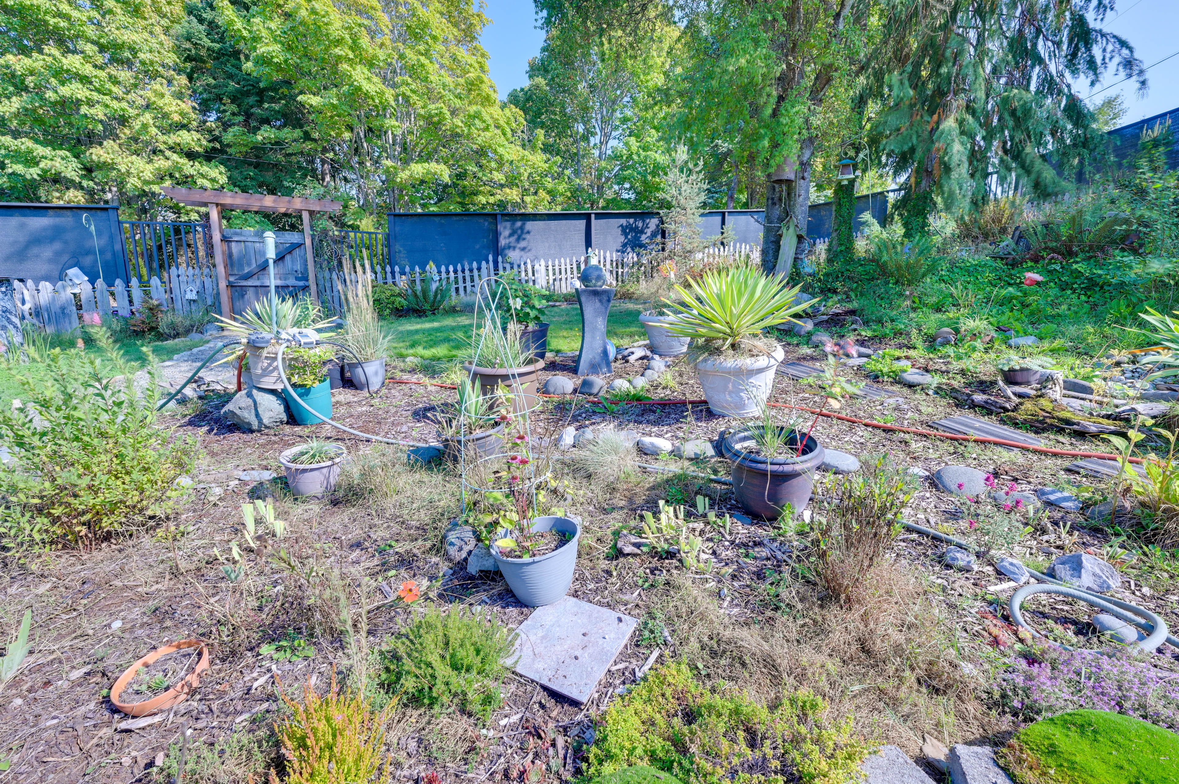 Shared Outdoor Space