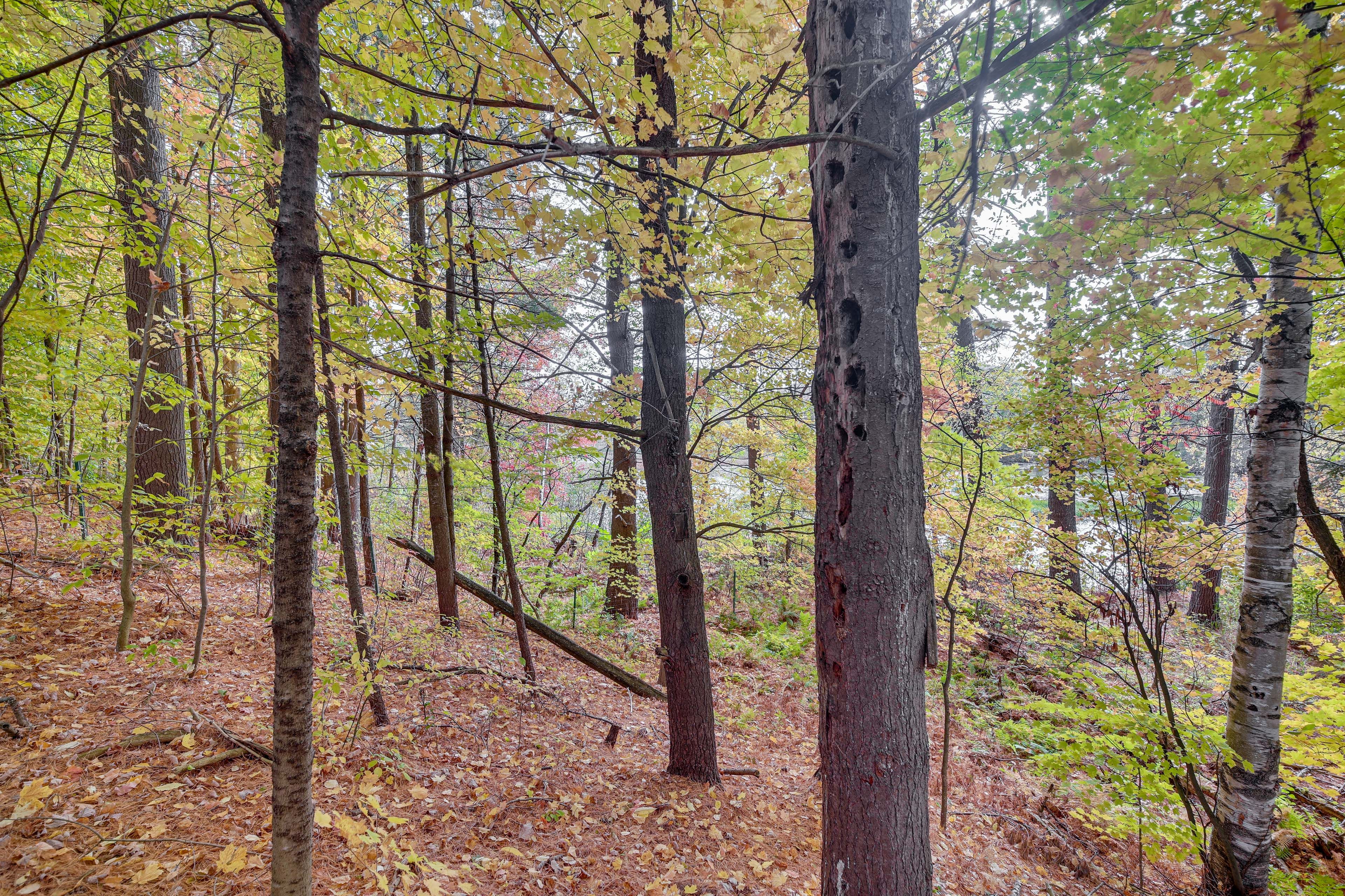 Hiking Trail Access On-Site