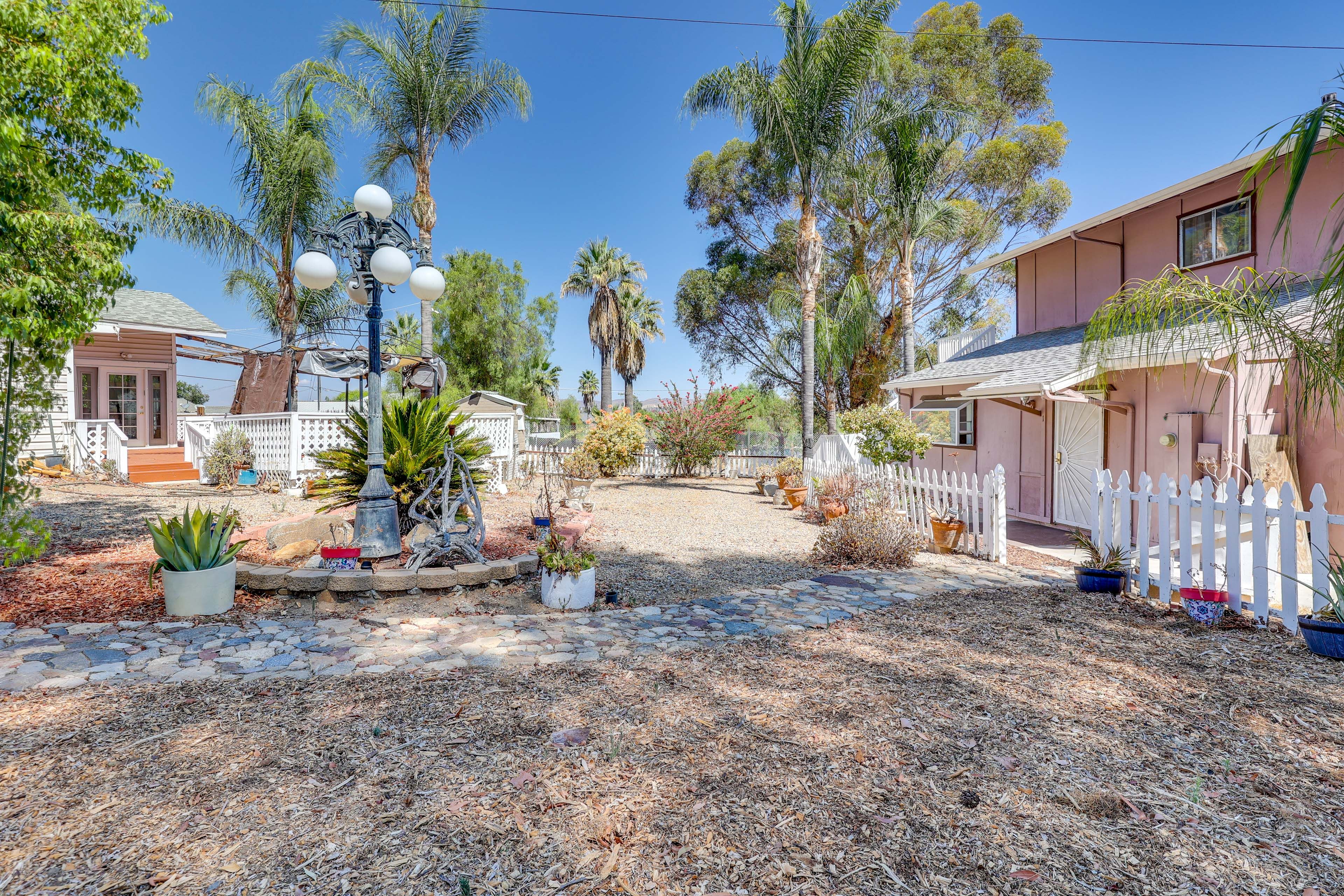 Shared Amenities | Courtyard