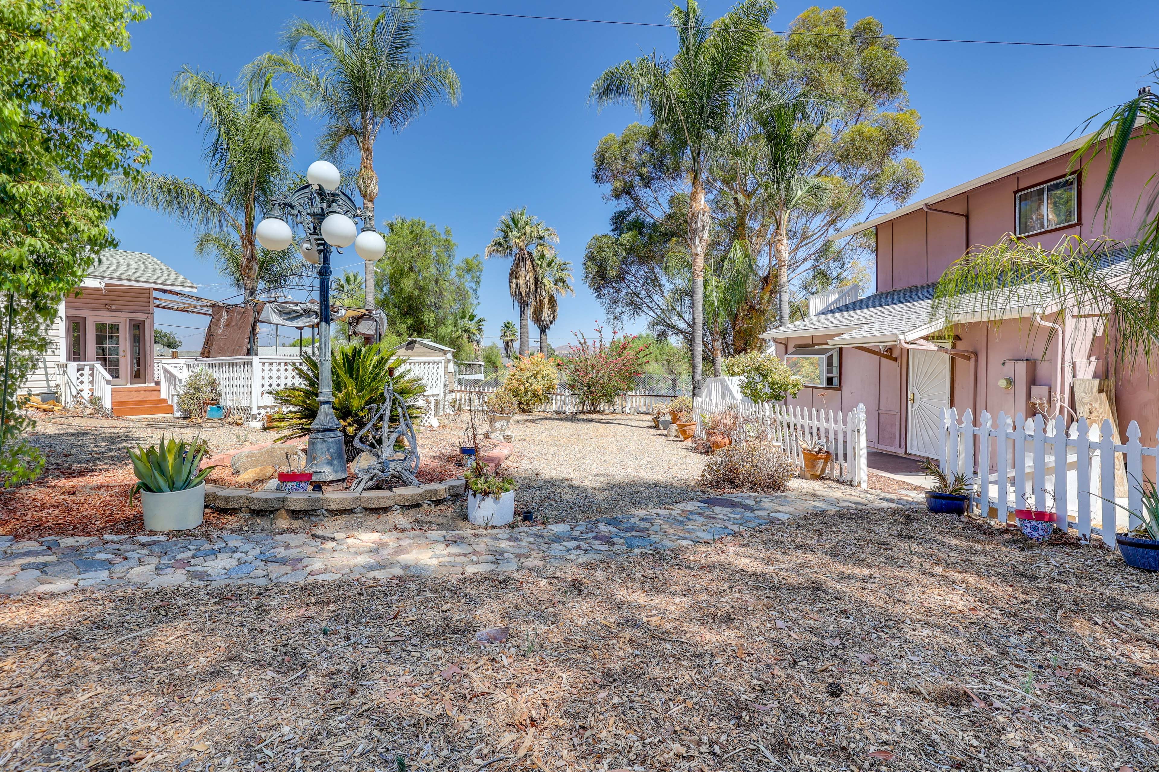 Shared Amenities | Courtyard