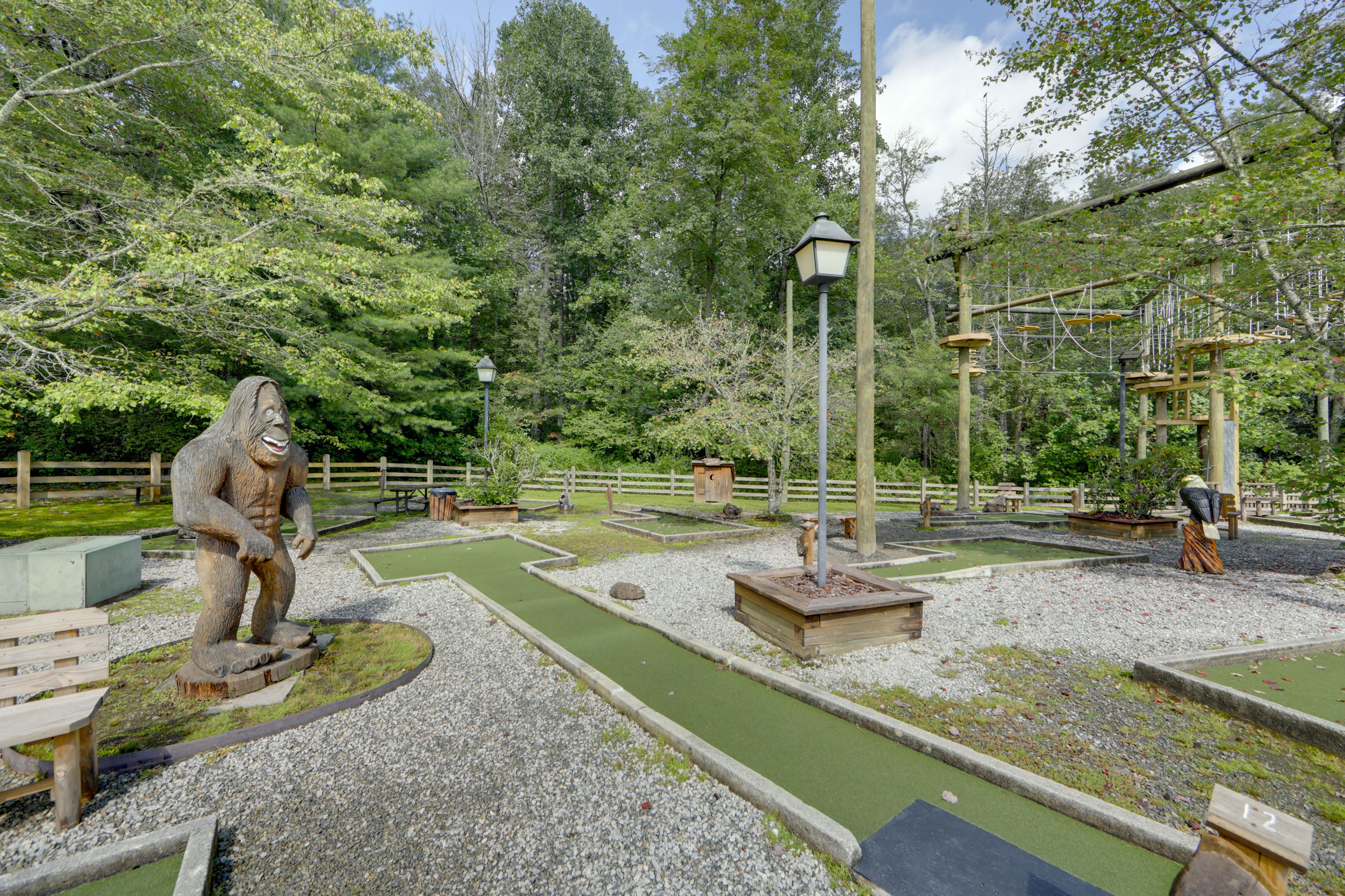 Image 25