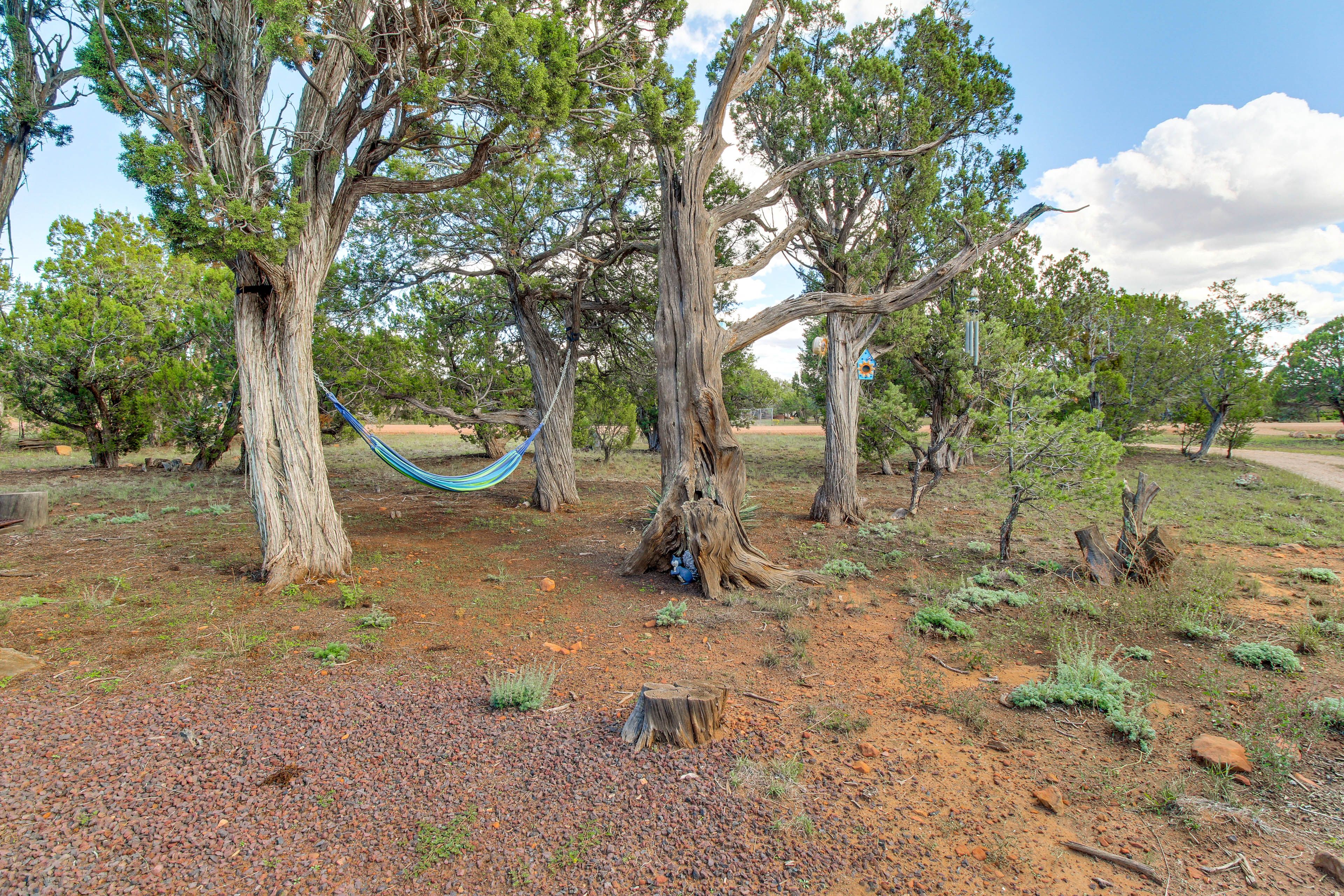 Hammock