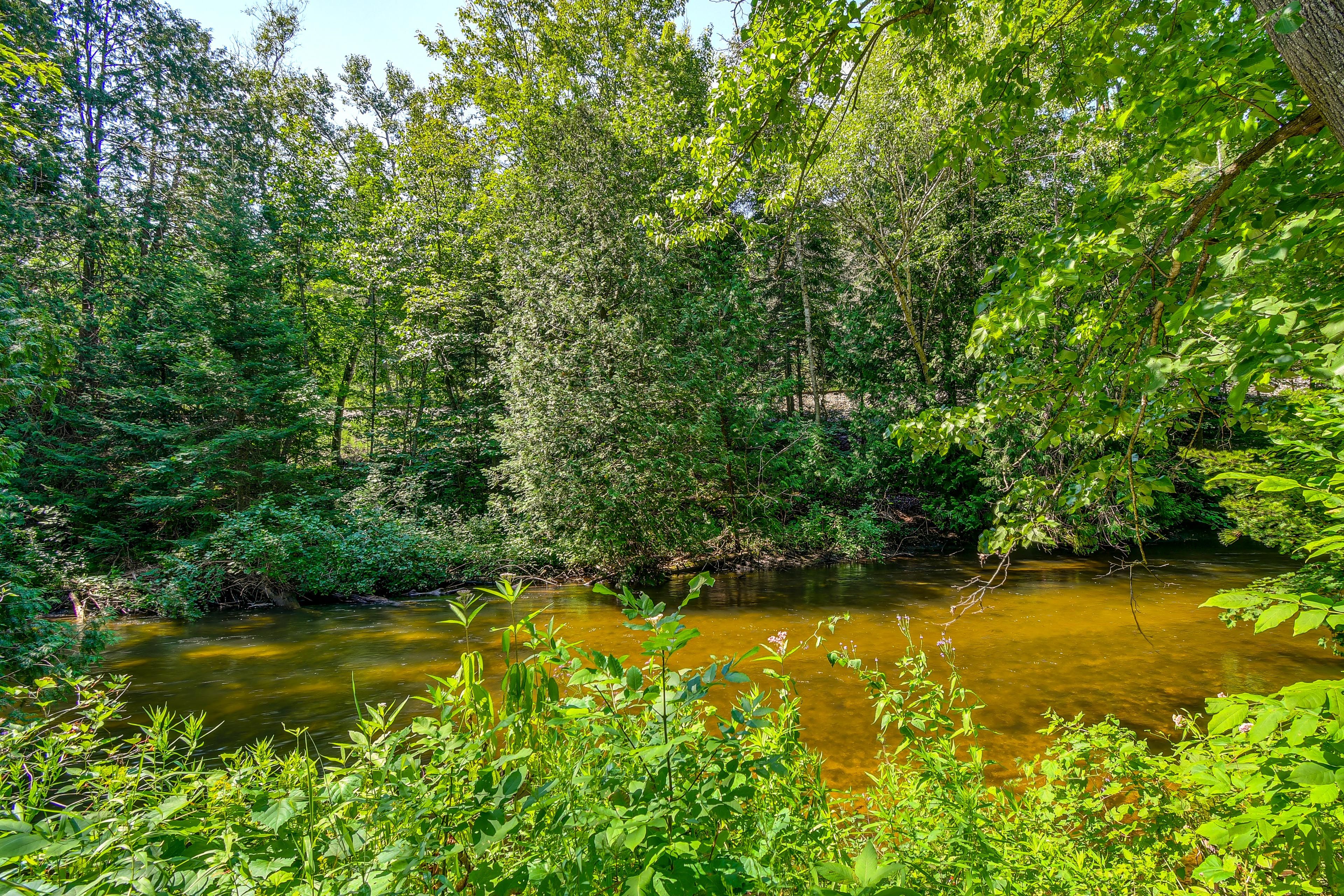 Boardman River On-Site