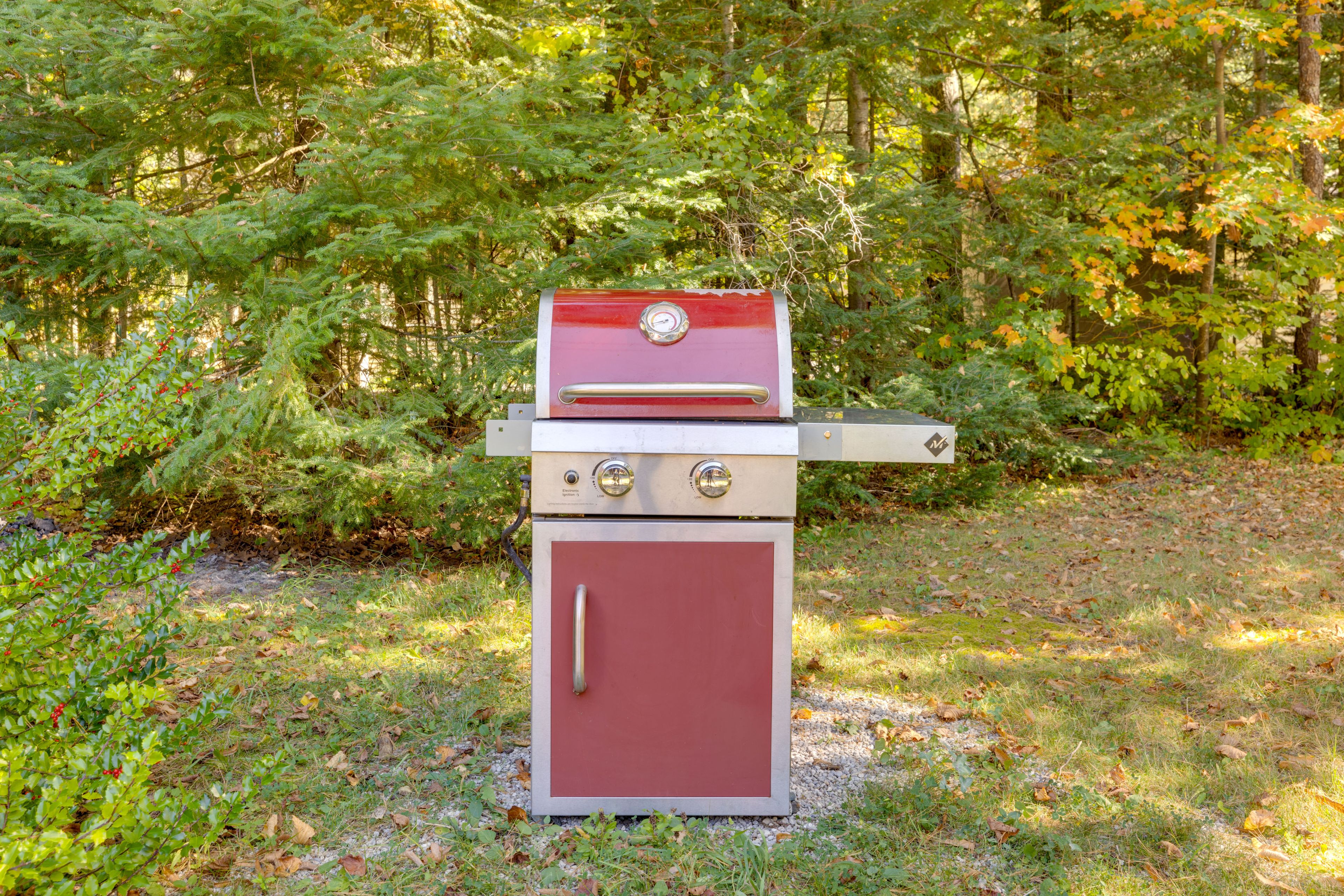 Shared Gas Grill