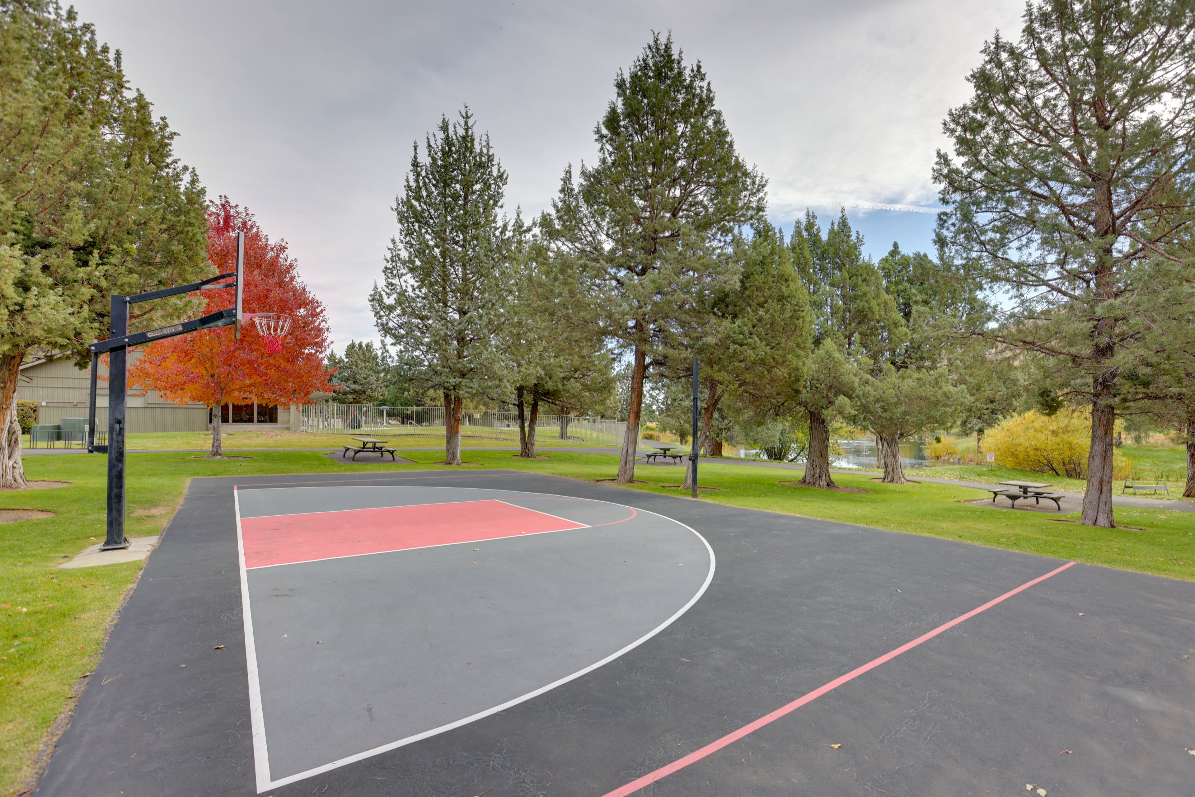 Basketball Court