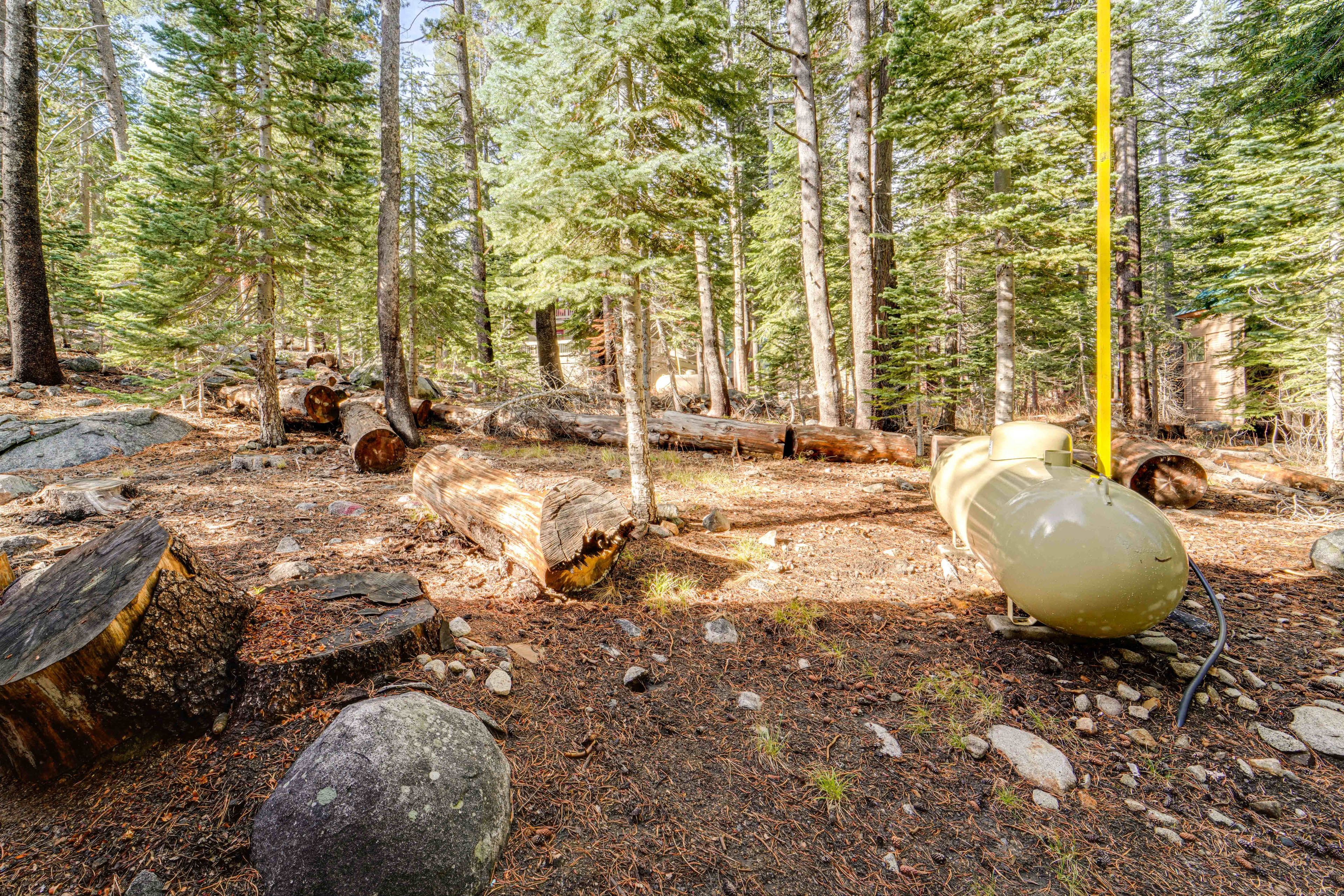 Private Yard (Unfenced)