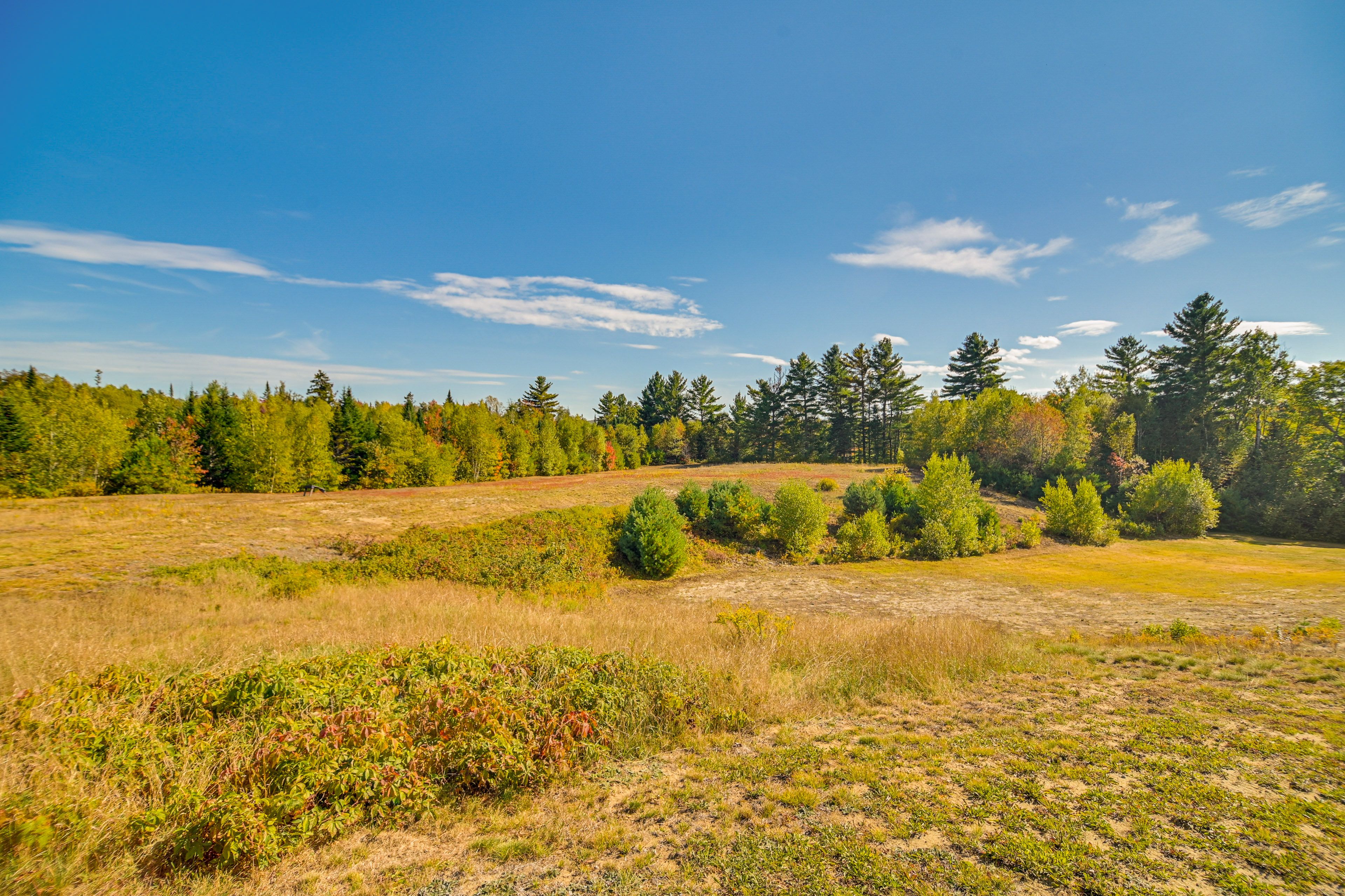 Surrounding Property