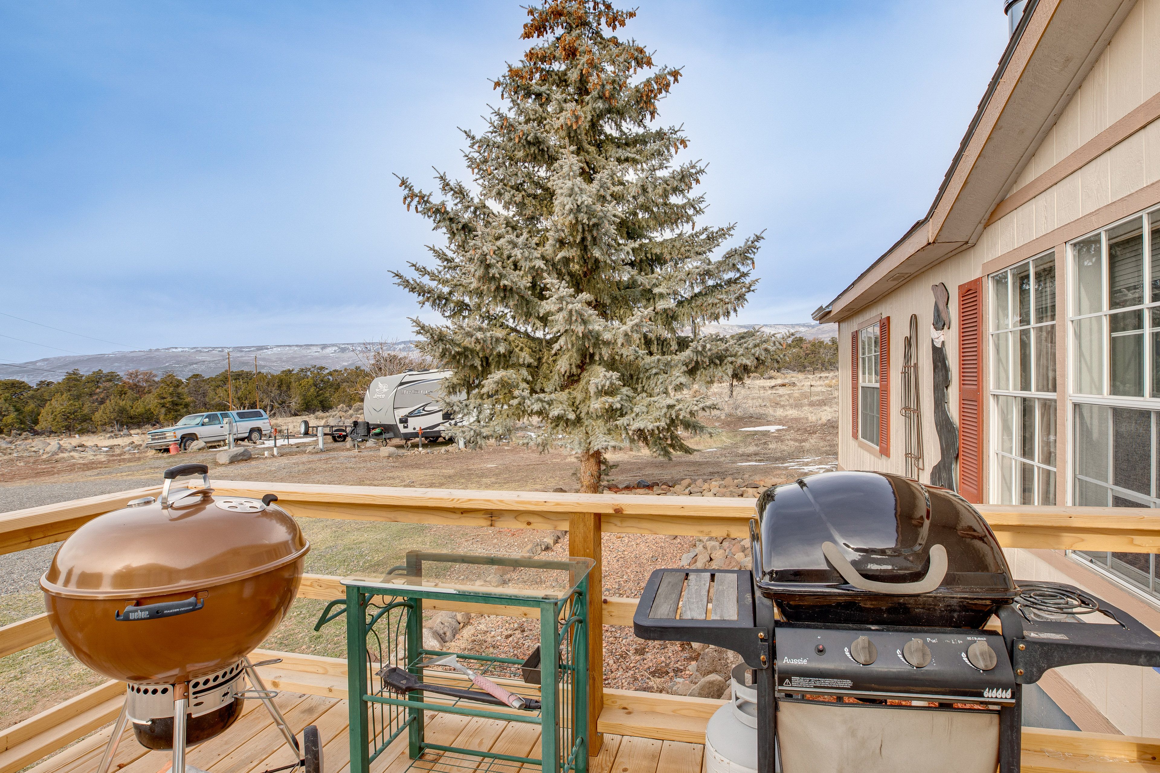 Deck | Gas & Charcoal Grills