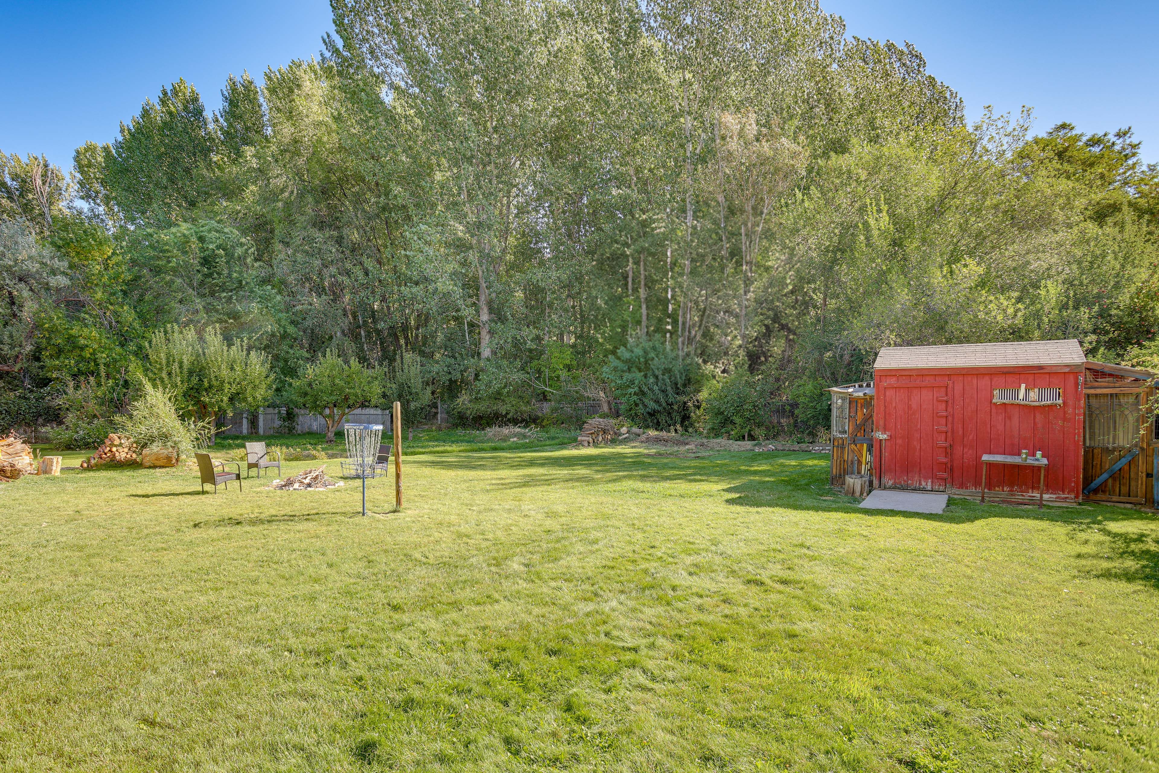 Shared Backyard Area