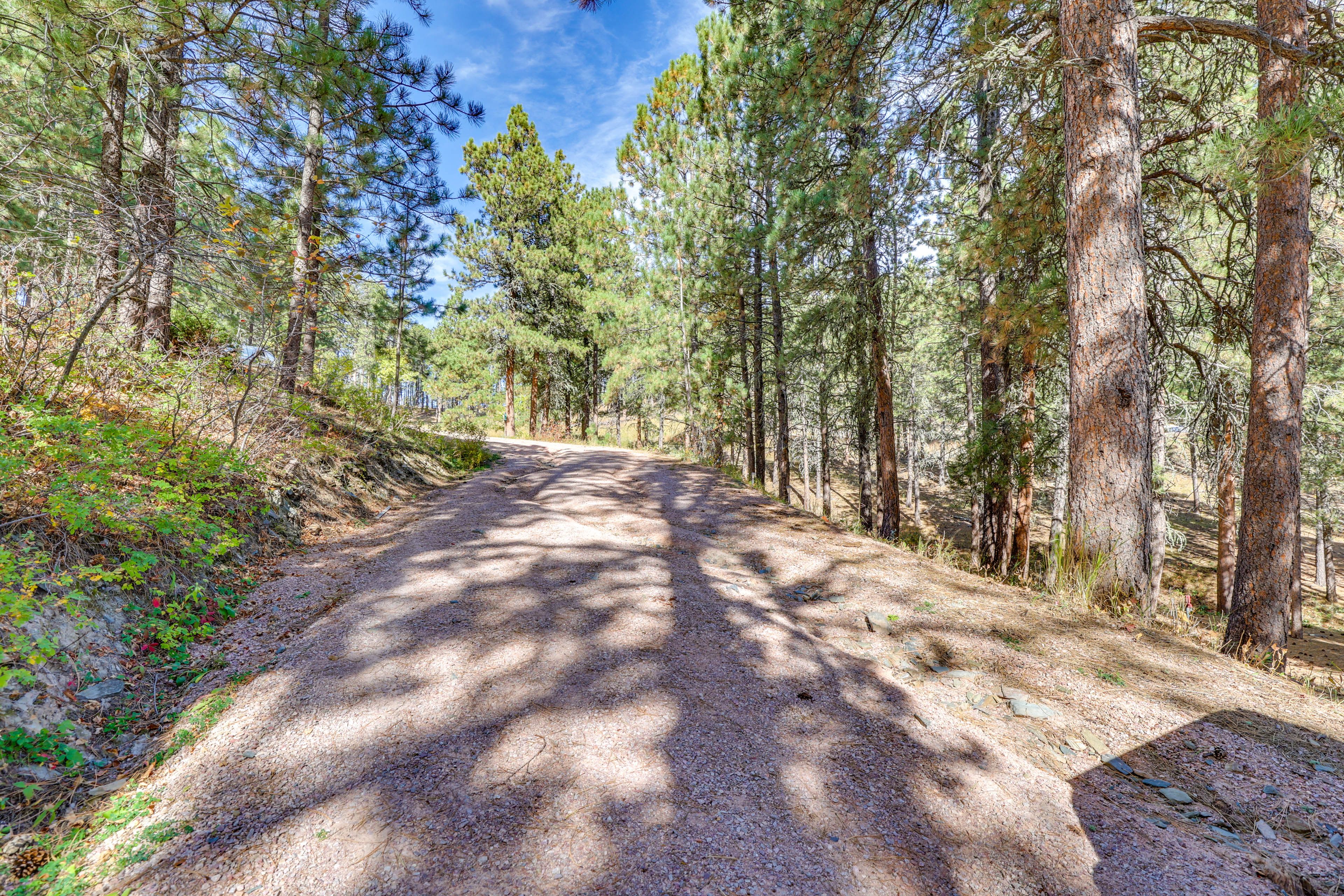 Parking | Driveway (6 Vehicles)