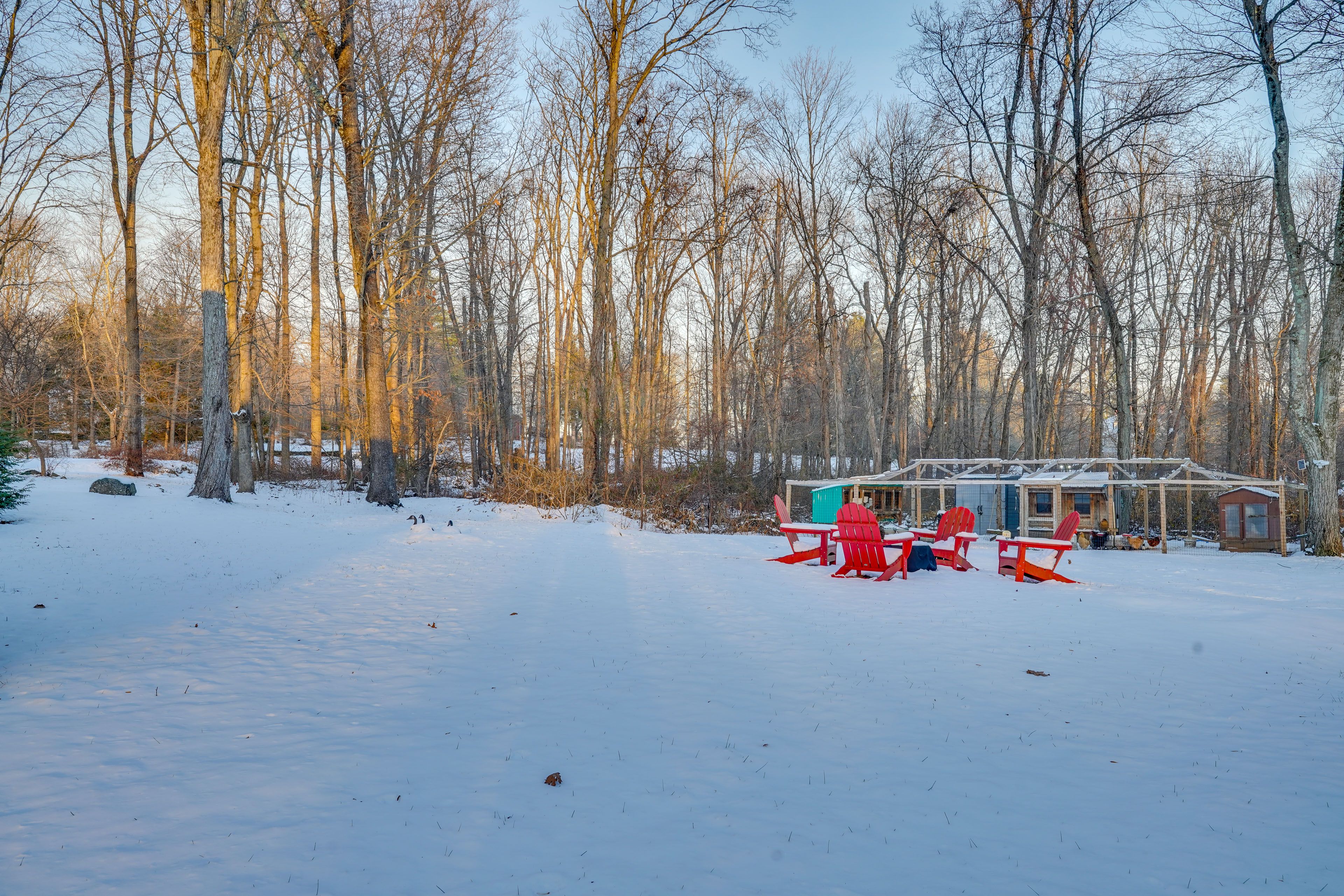 Yard | Cornhole | Fire Pit