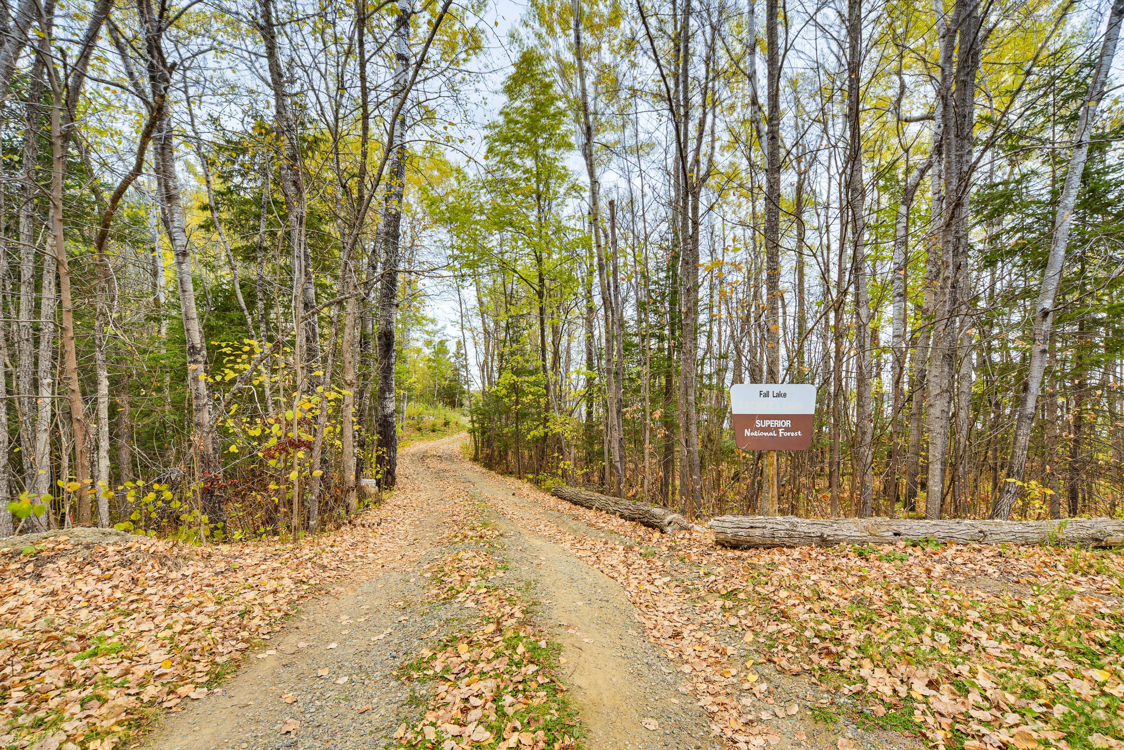 Parking | Driveway (4 Vehicles)