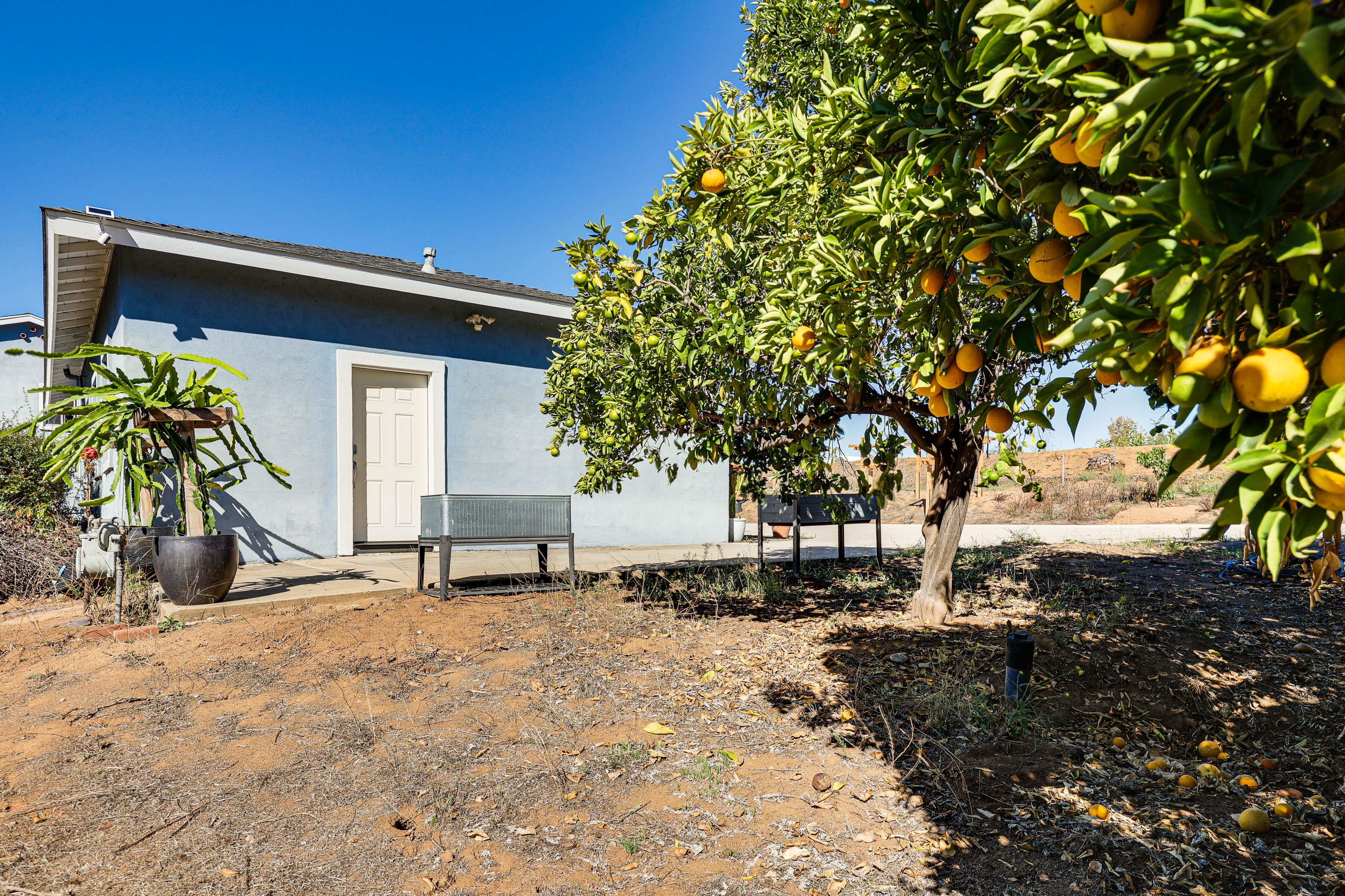 House Exterior | Grill | Fruit Trees