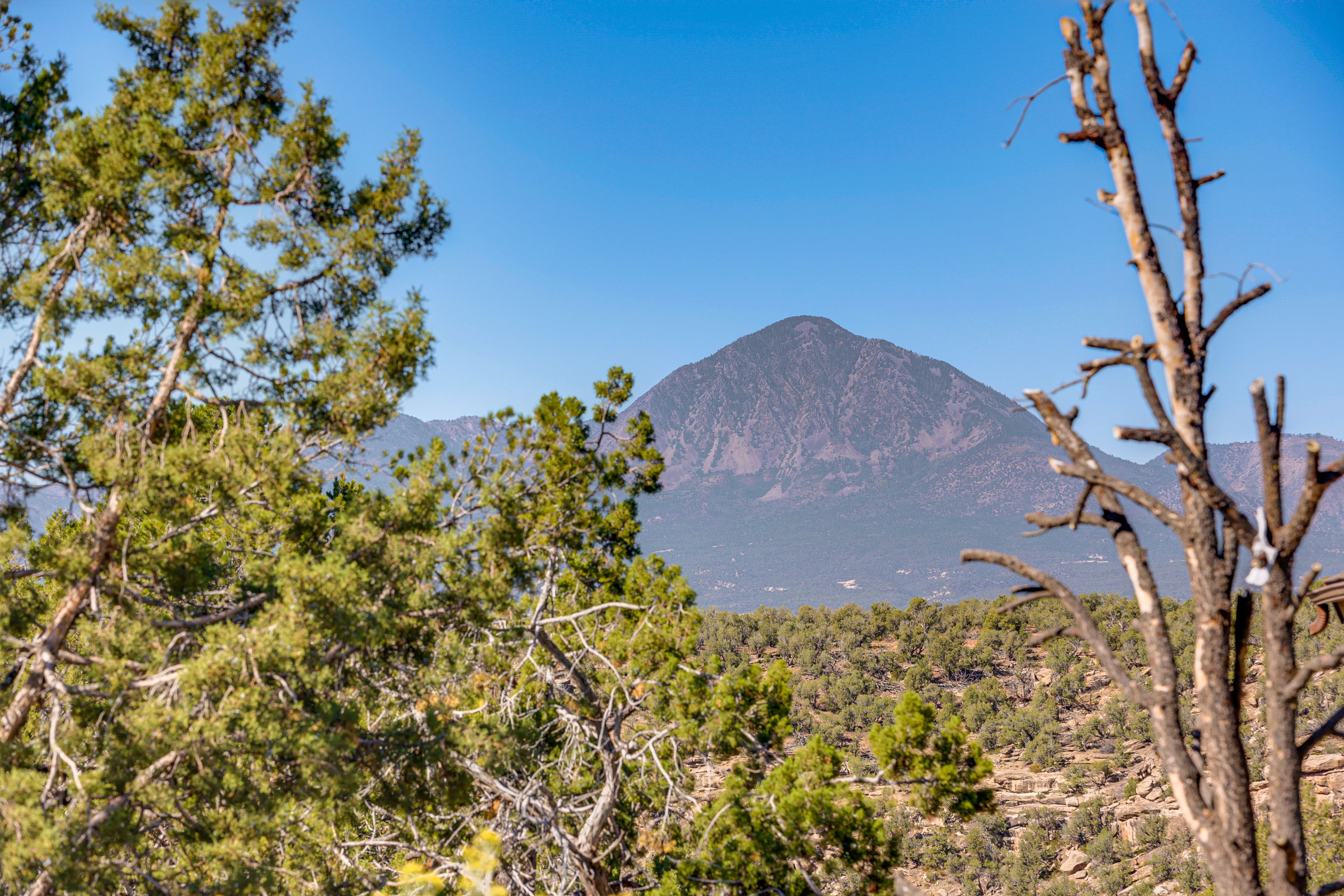 Mountain Views