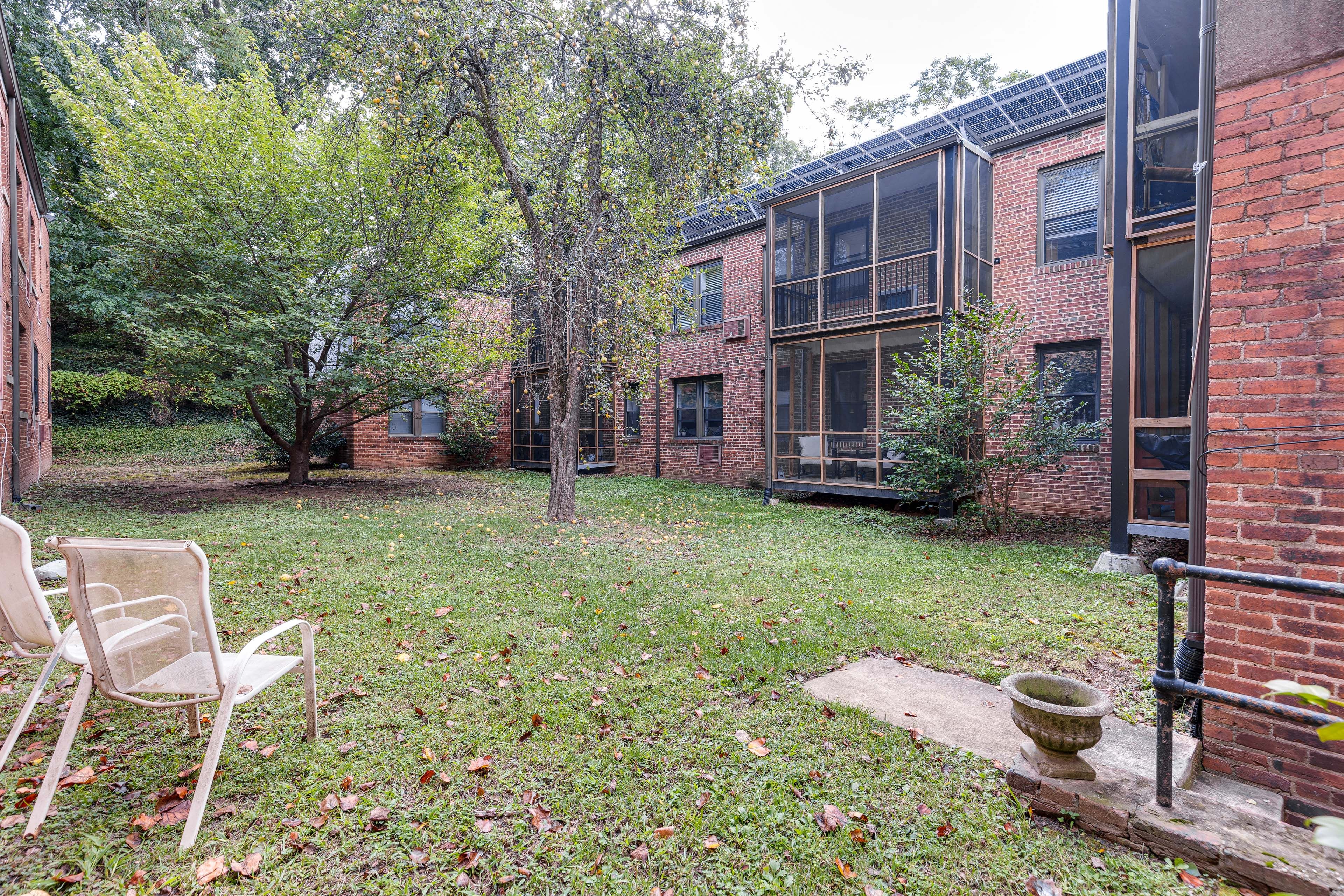 Shared Outdoor Area | Pear Trees
