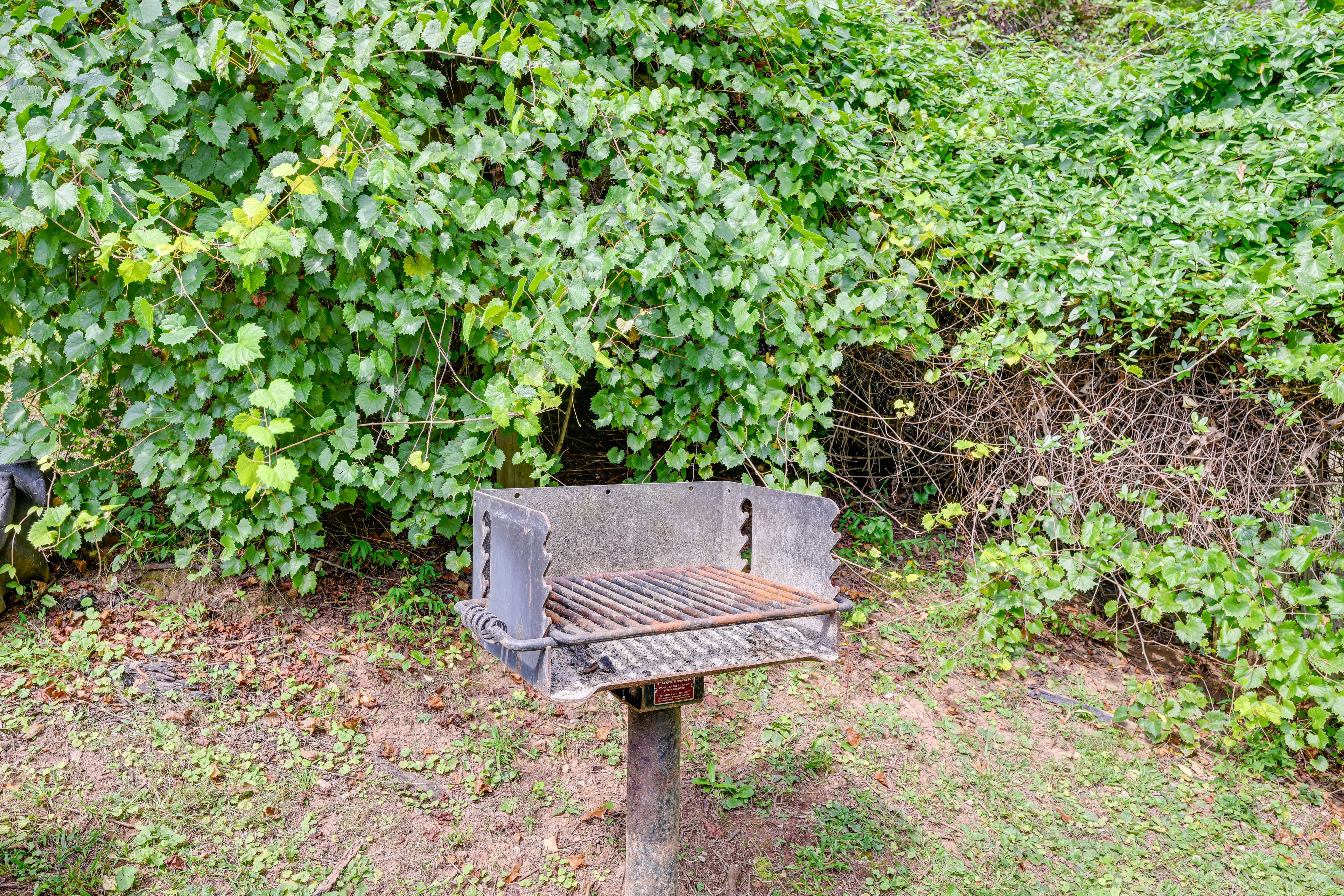 Image 25