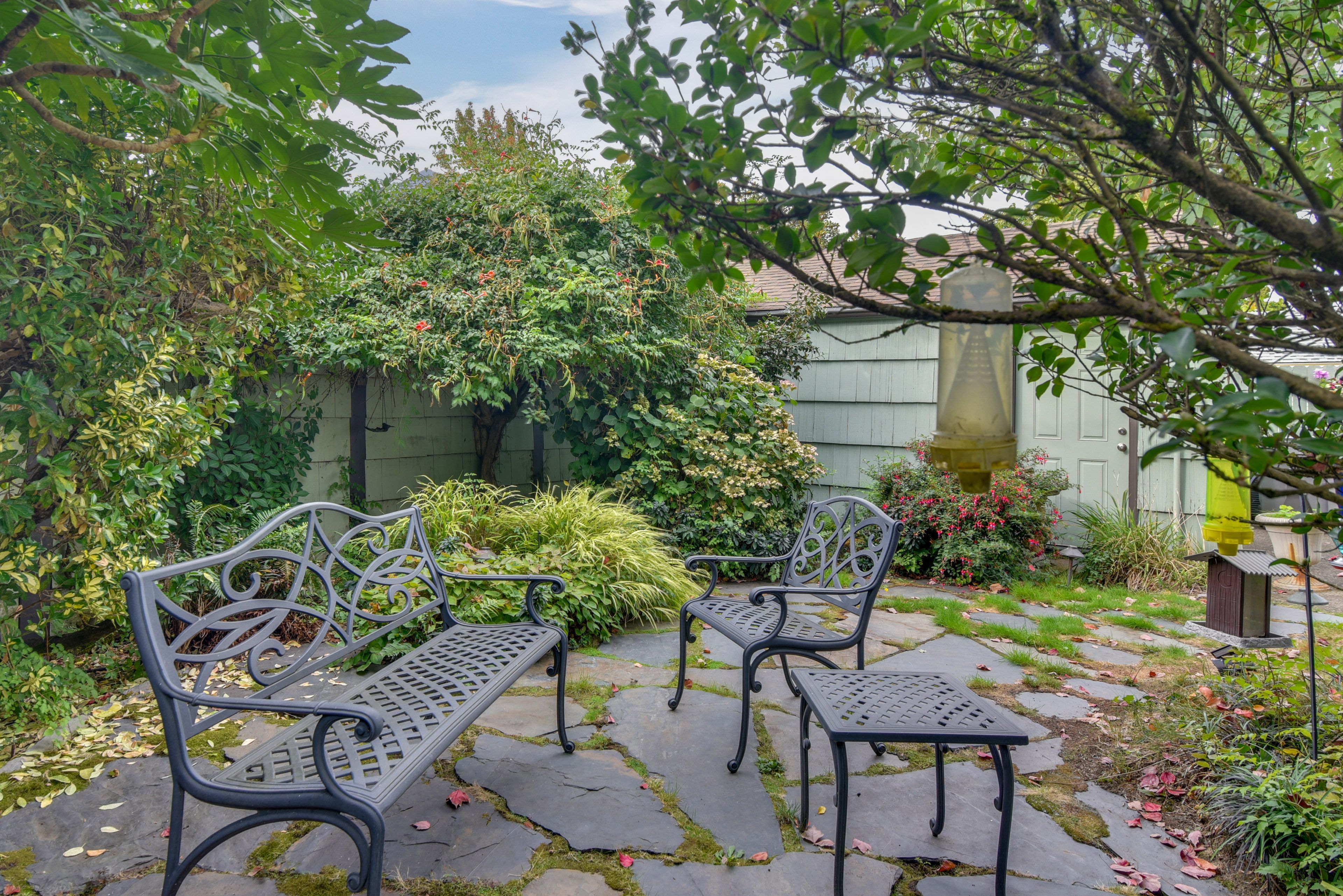 Shared Backyard