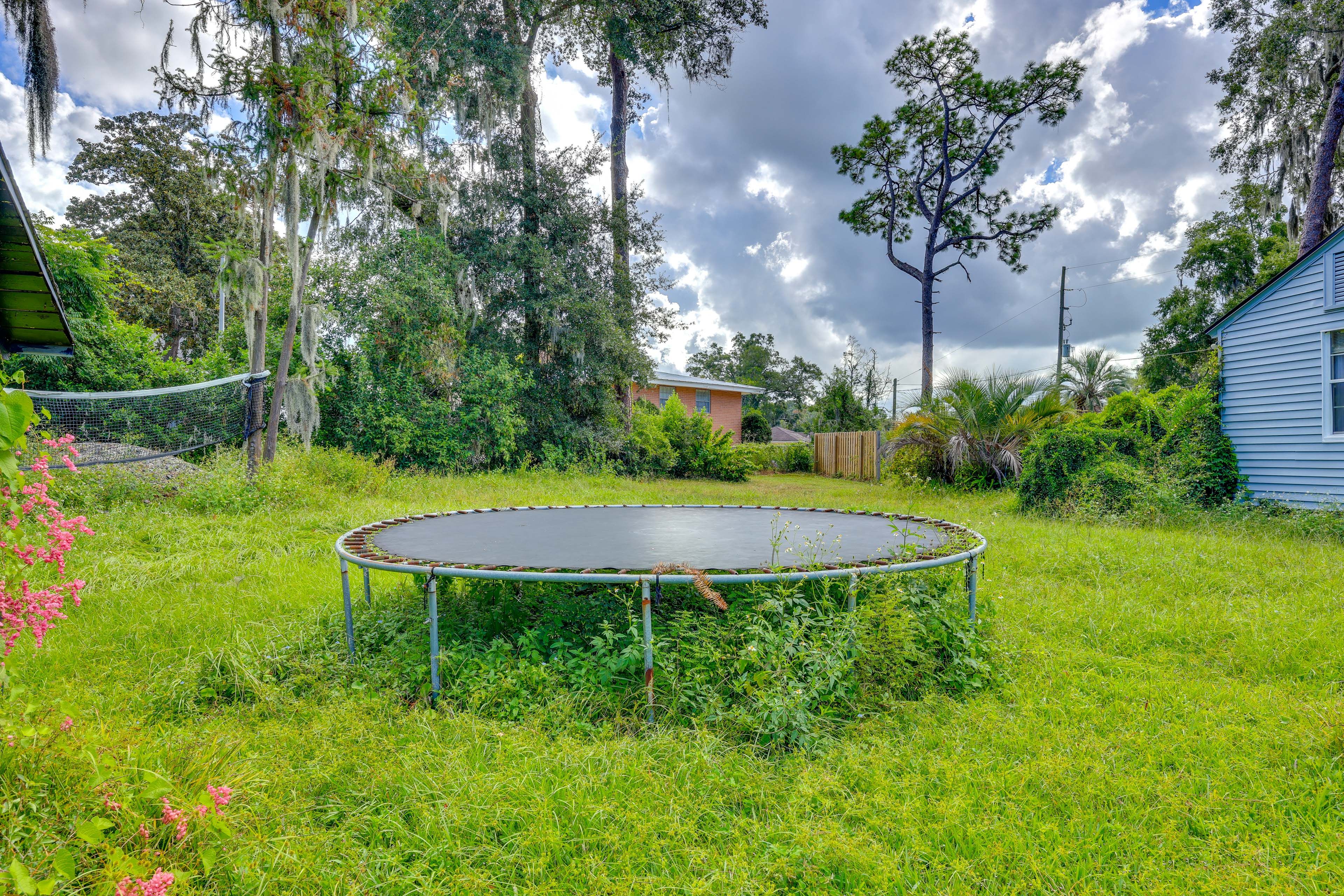 Shared Backyard