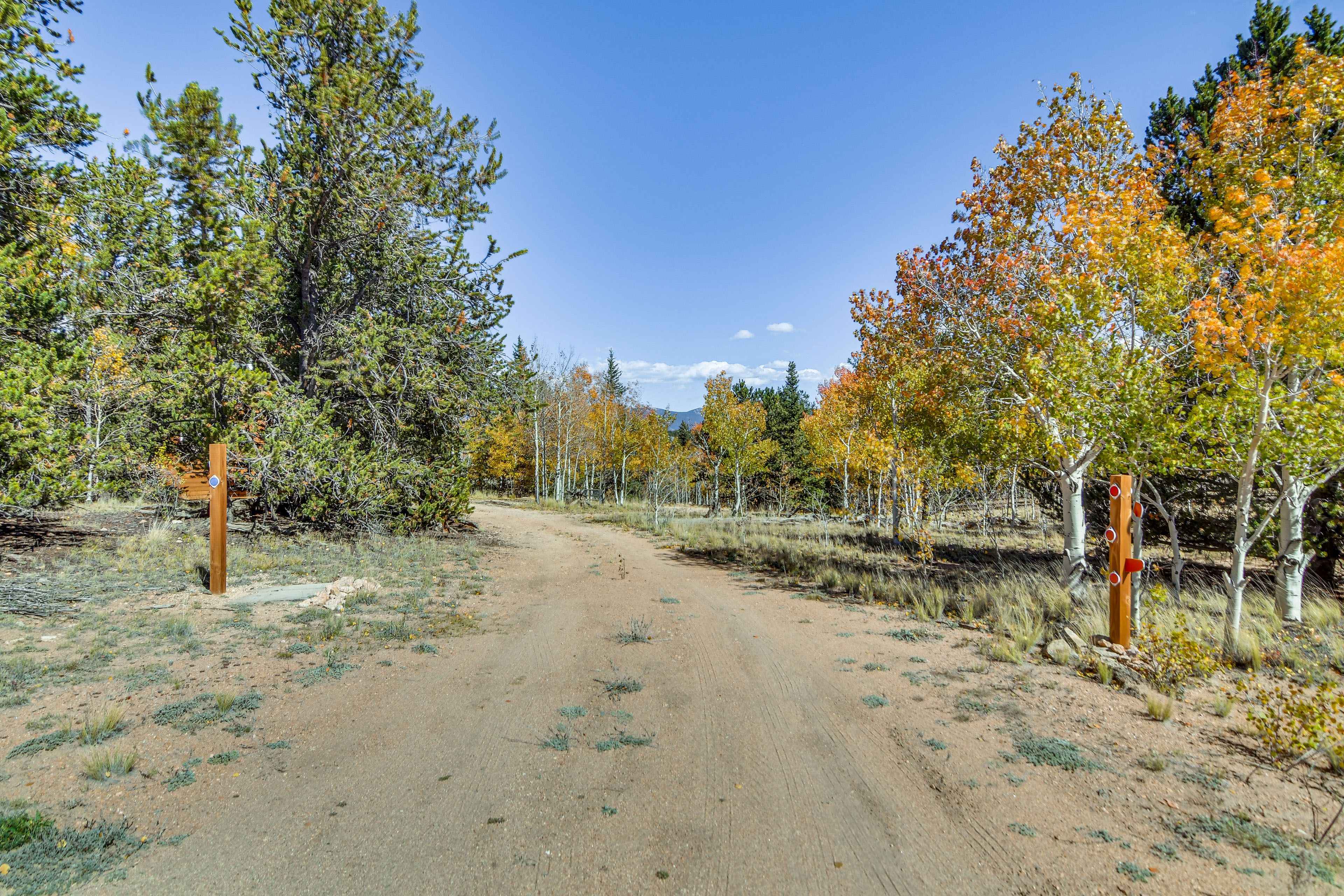 Parking | Driveway (3 Vehicles)