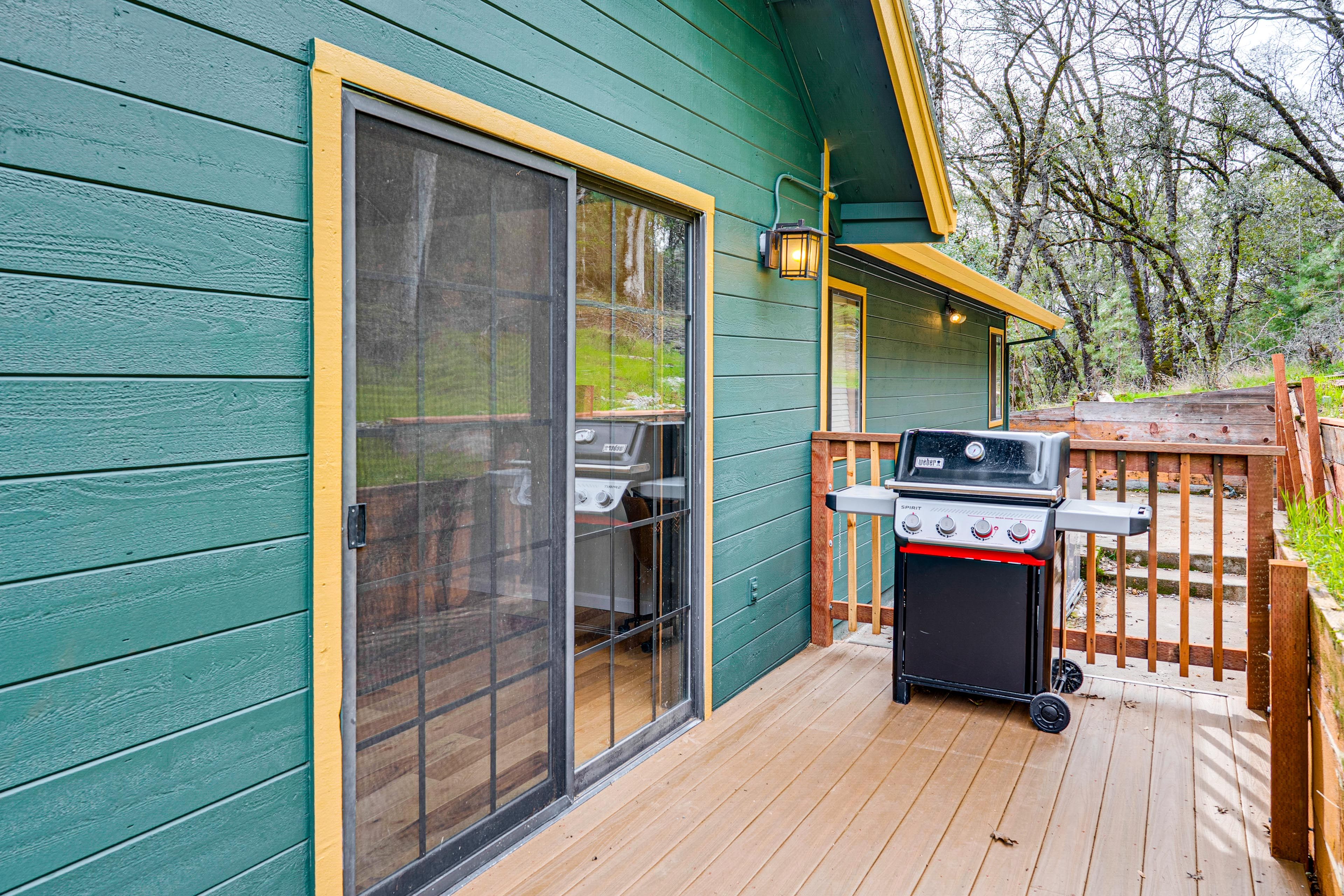 Back Deck | Gas Grill