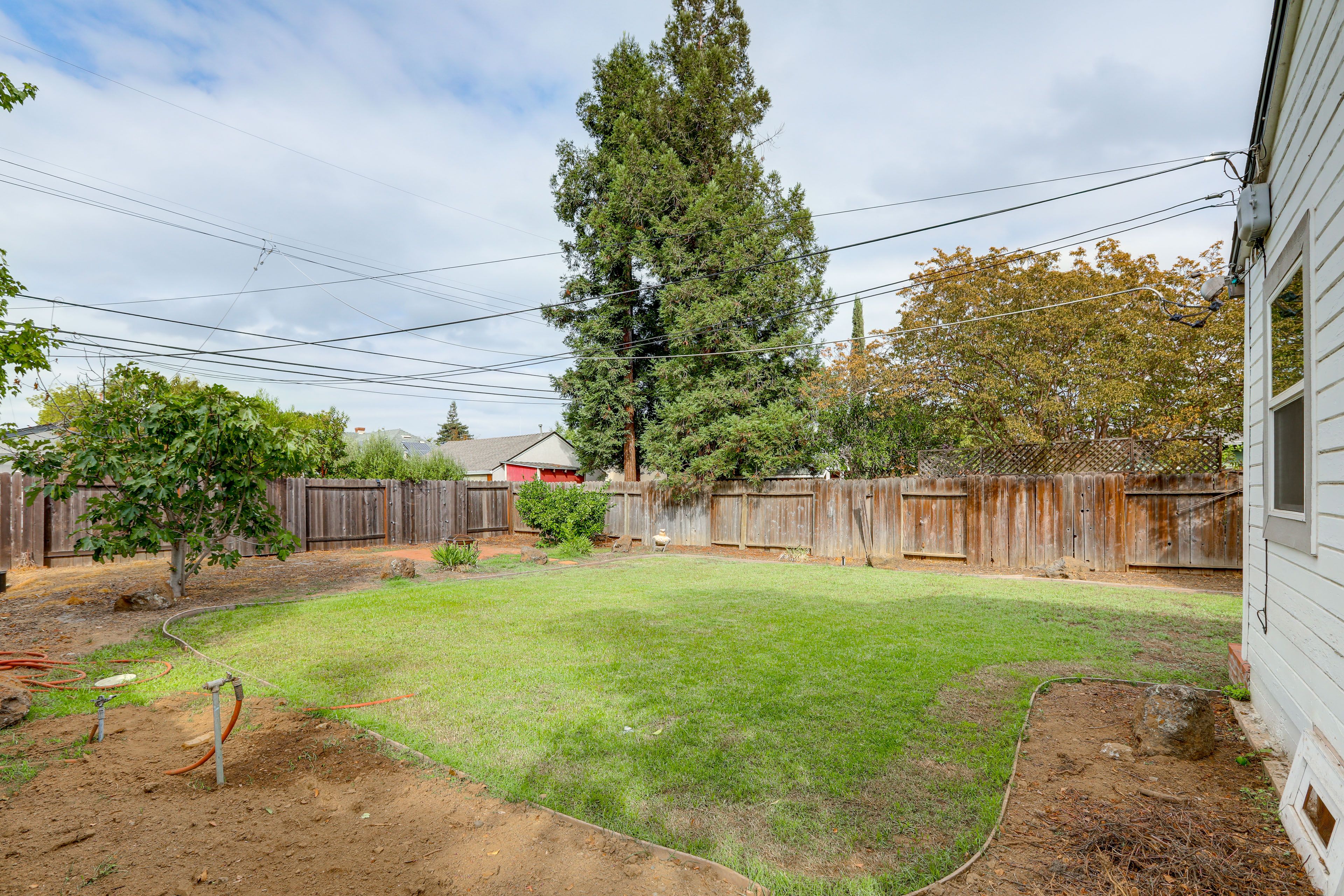 Shared Backyard
