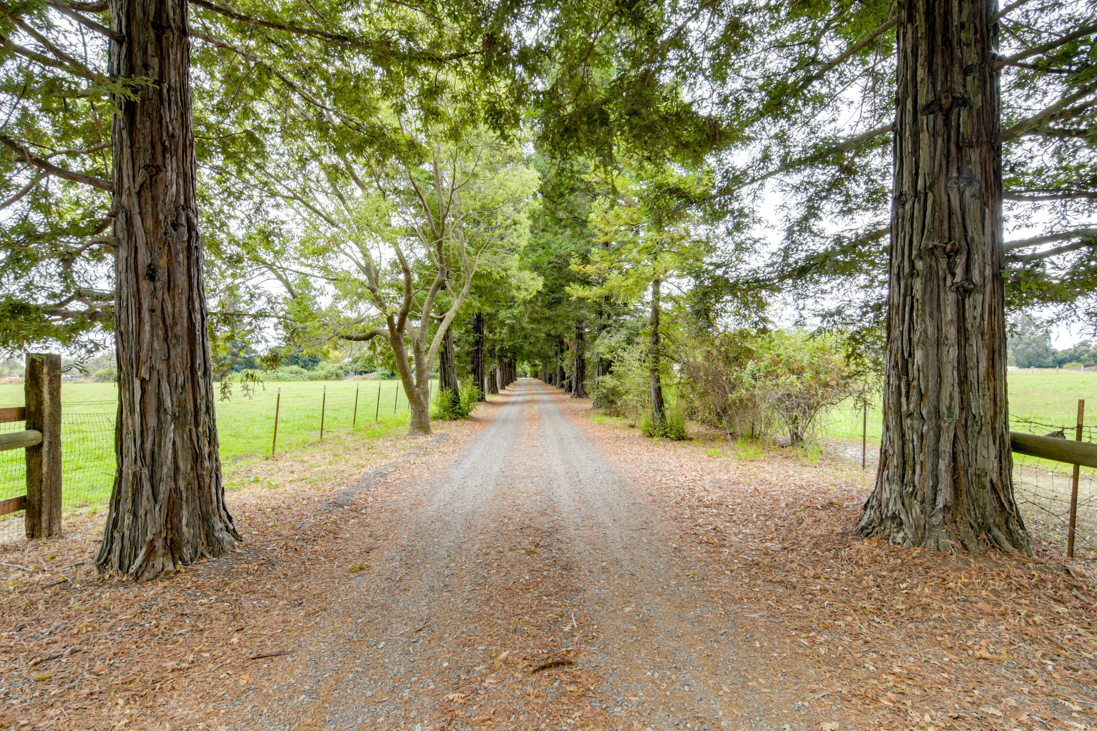 Lasell Ranch Entrance