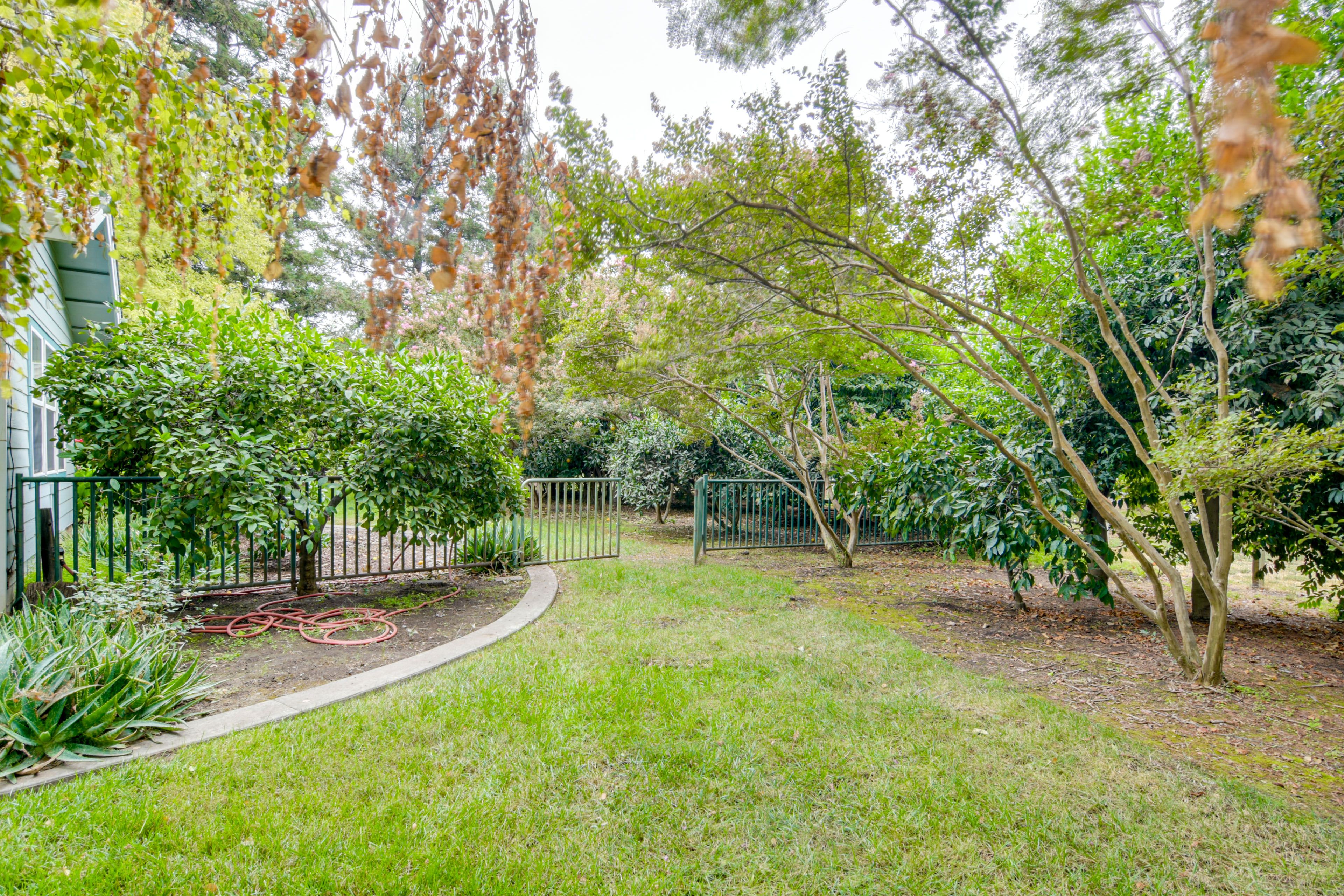 Lasell Ranch | Community Outdoor Space