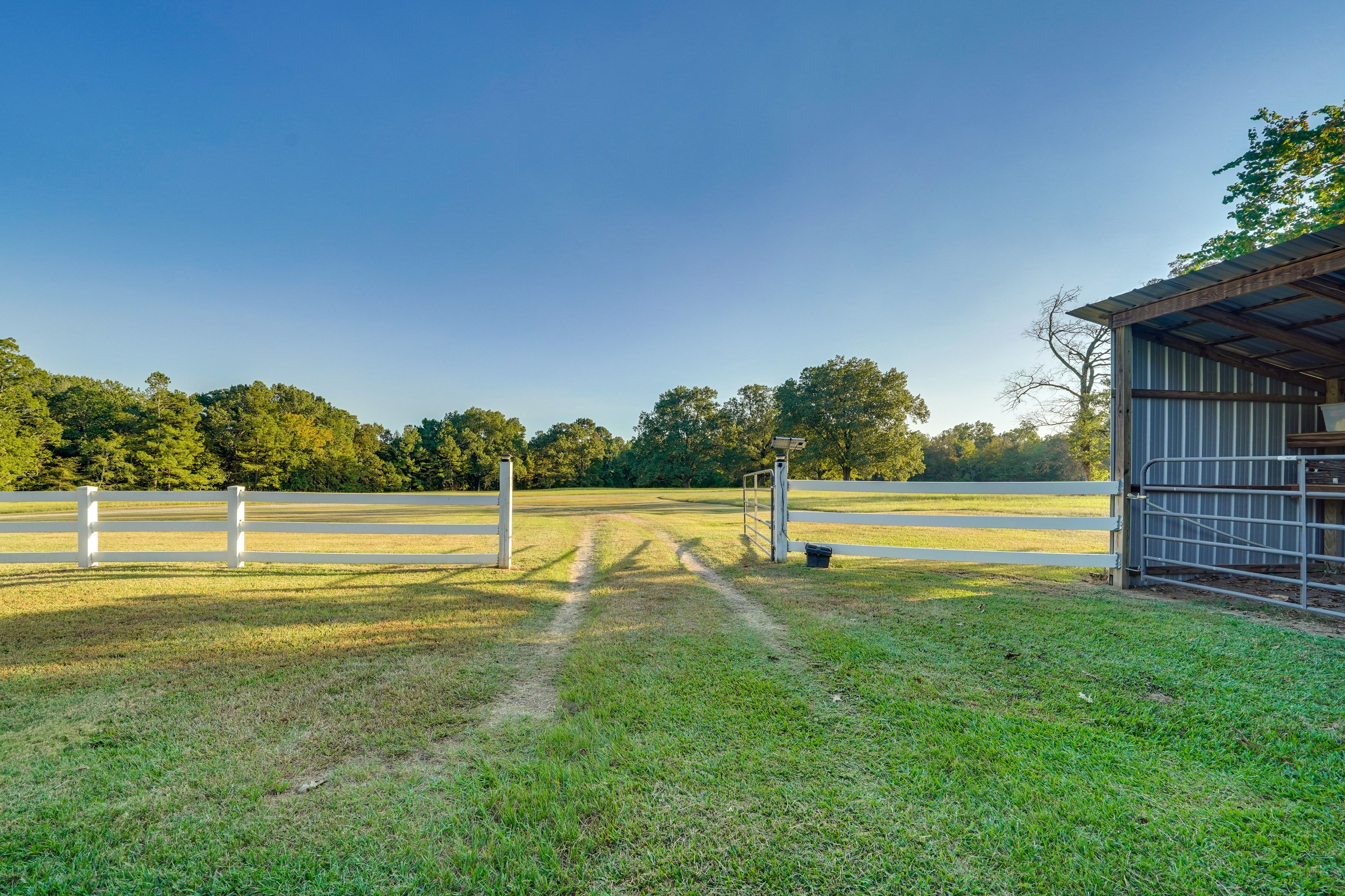 Parking | Grass (2 Vehicles)