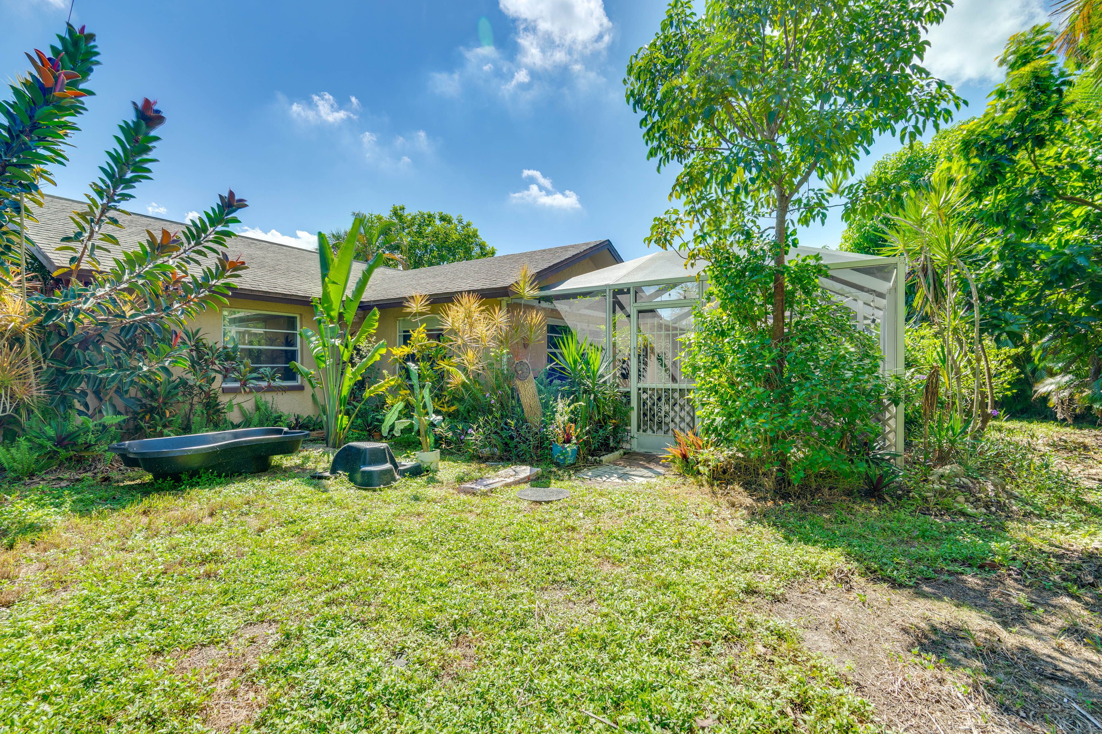 Backyard