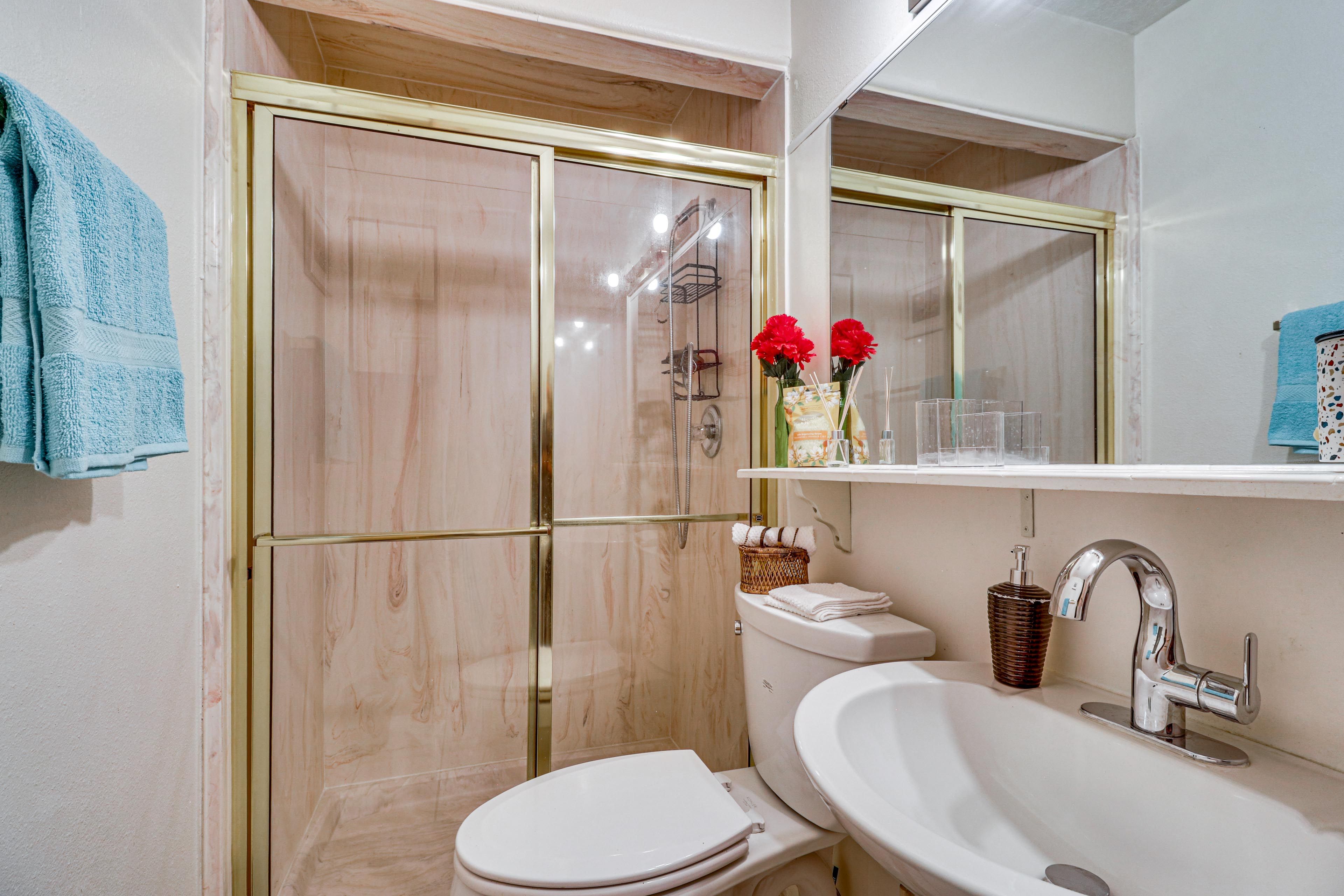 Bathroom | Lower Floor