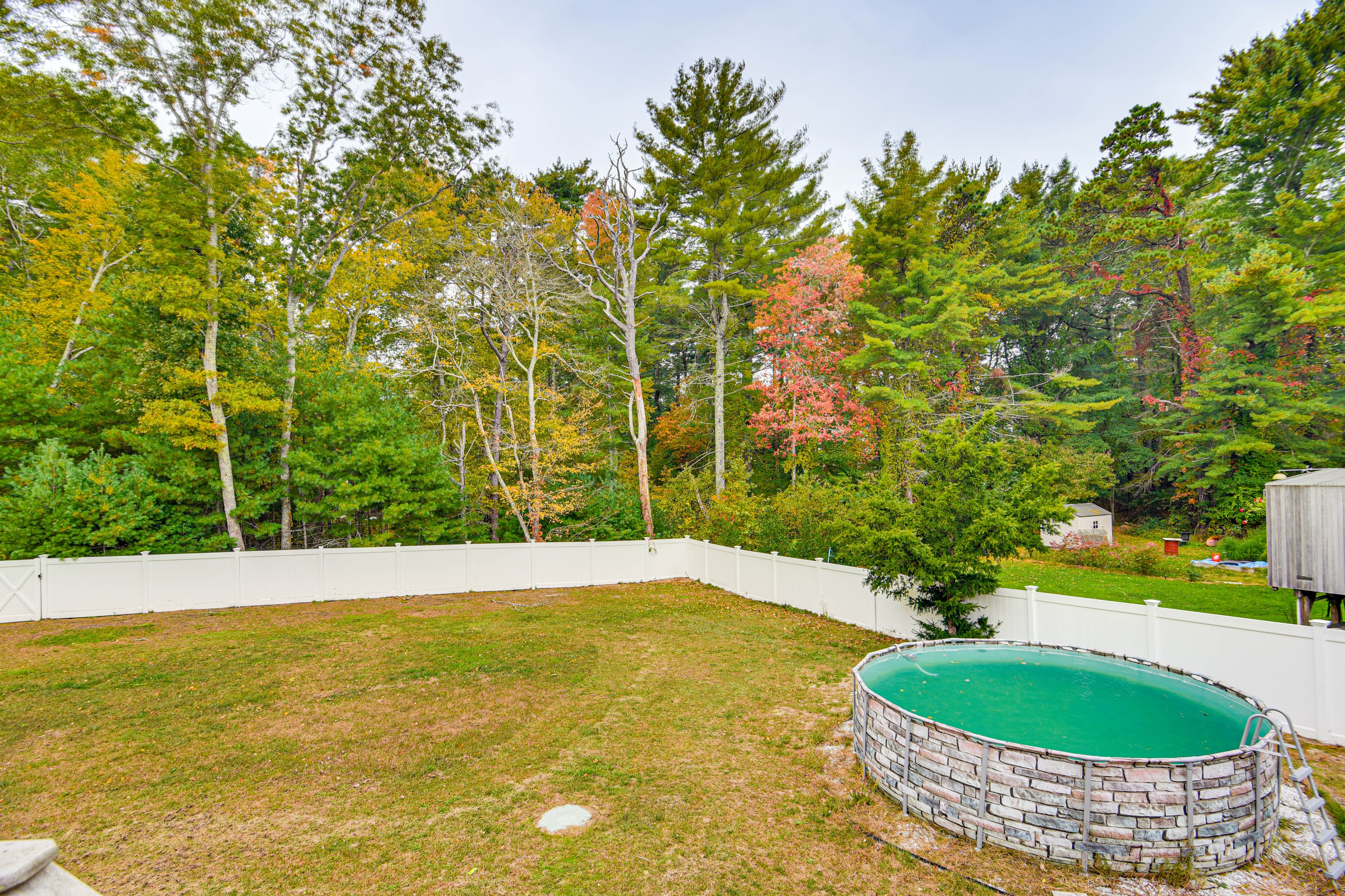 Shared Backyard