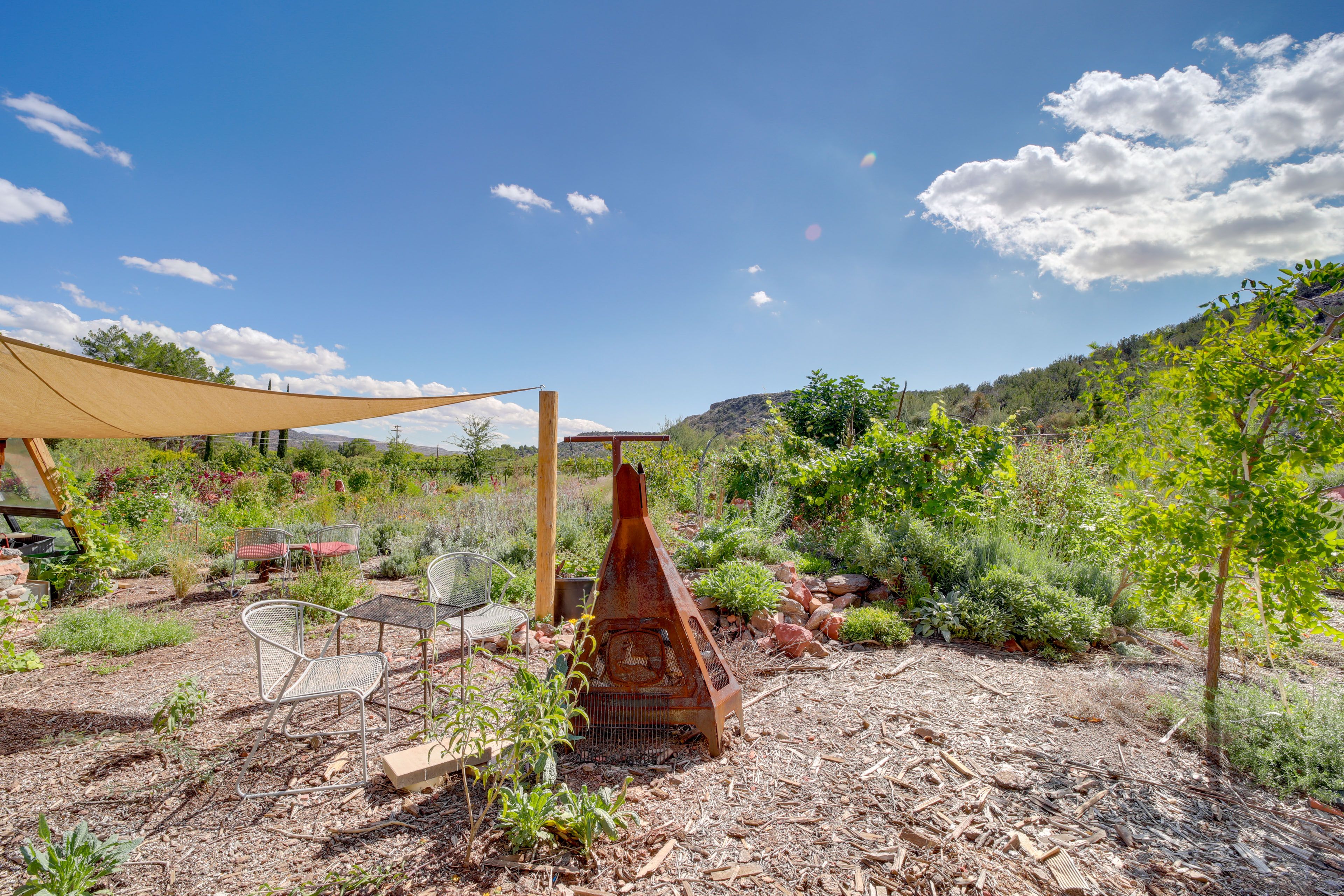 Shared Outdoor Space