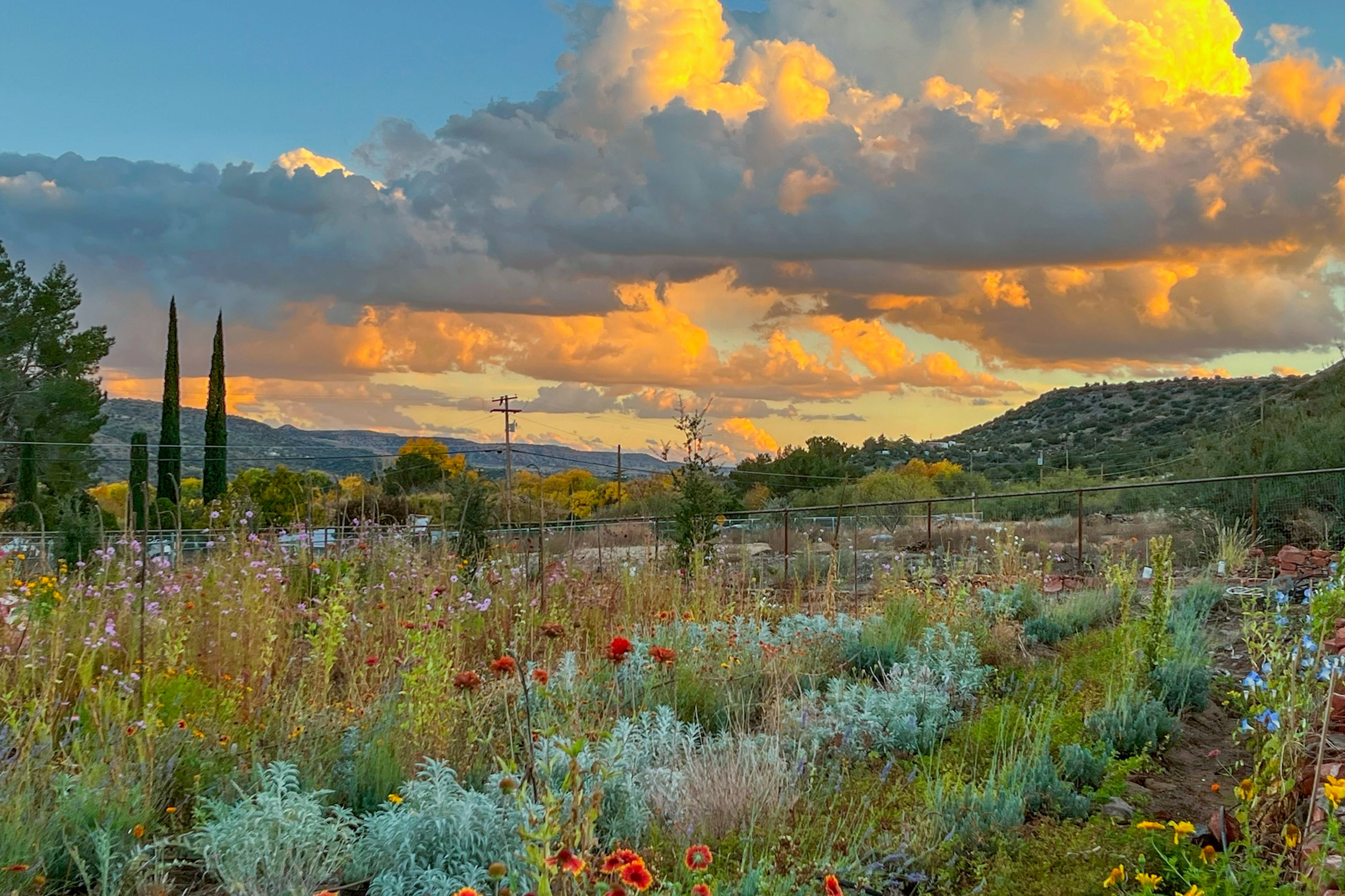 On-Site Flower Garden