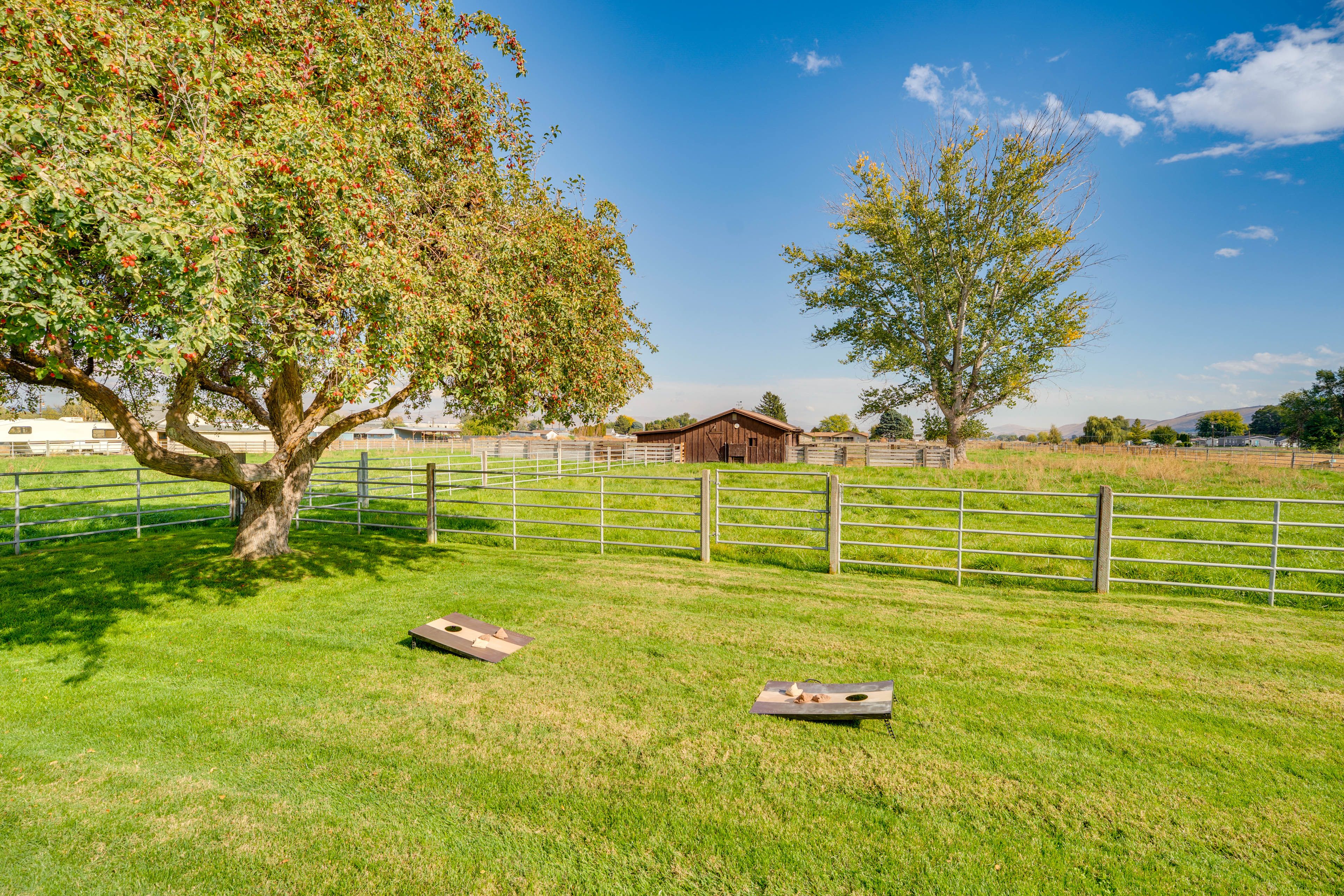 Yard w/ Cornhole