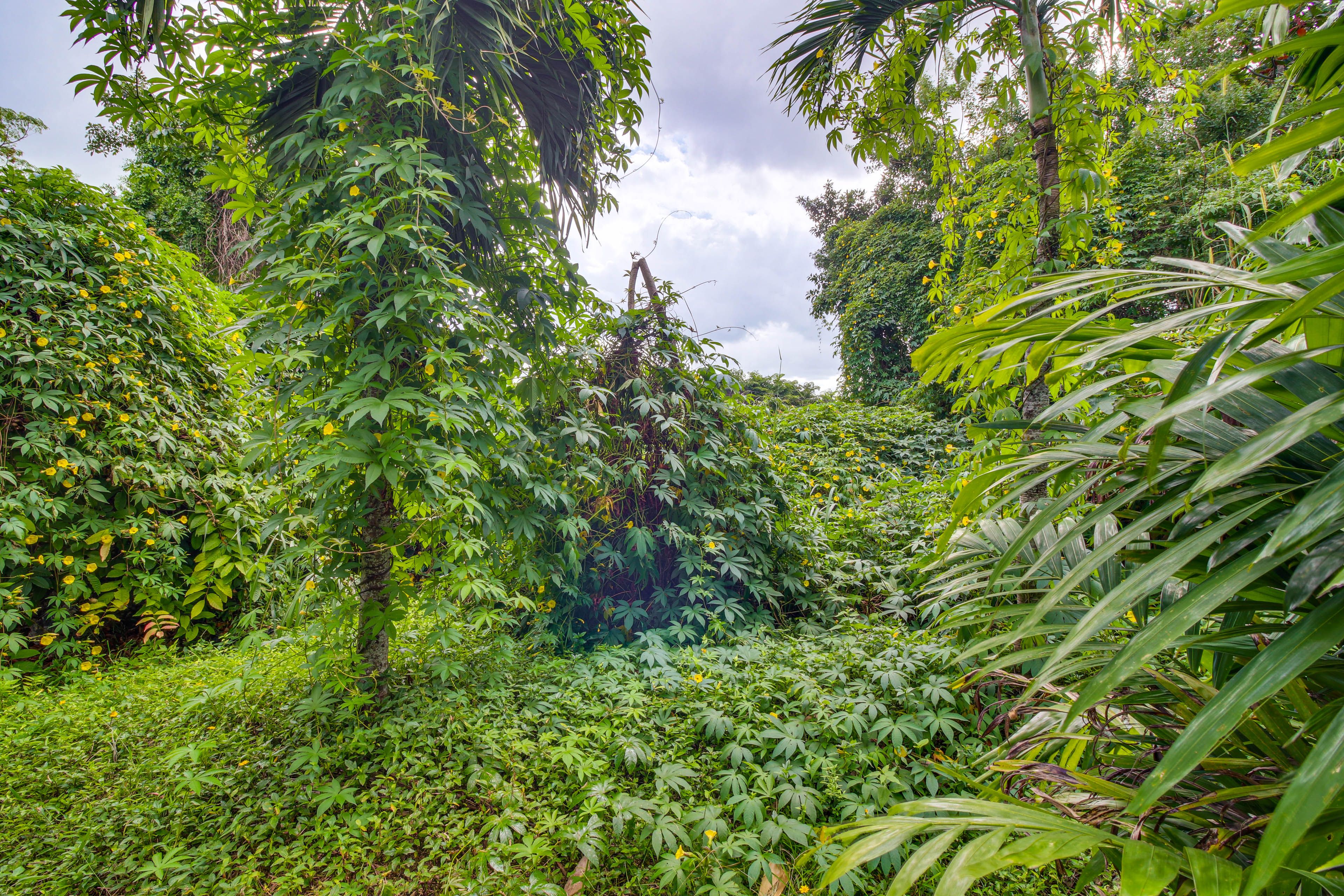 Active Nursery Location