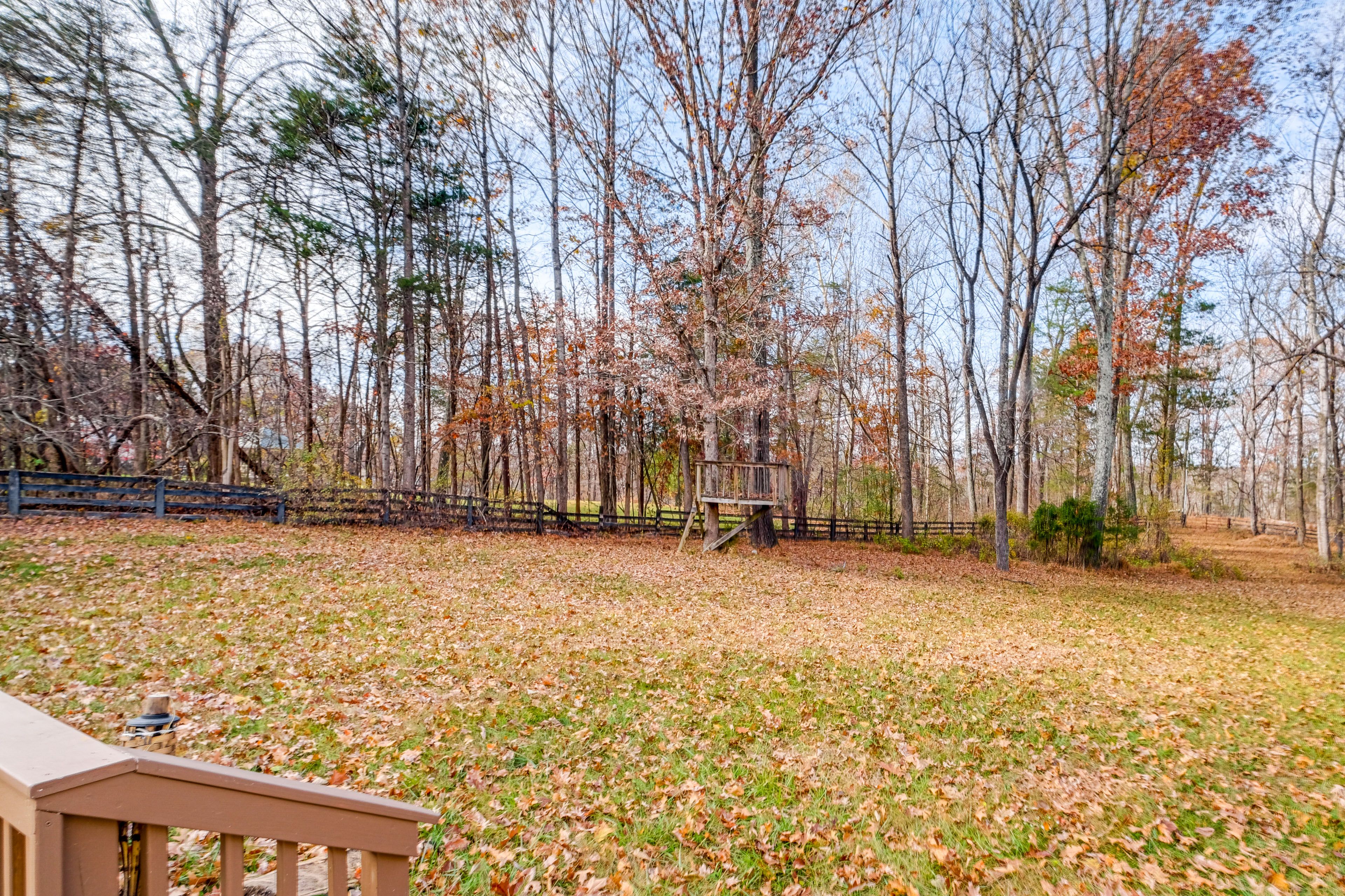 Private Yard (Partially Fenced)