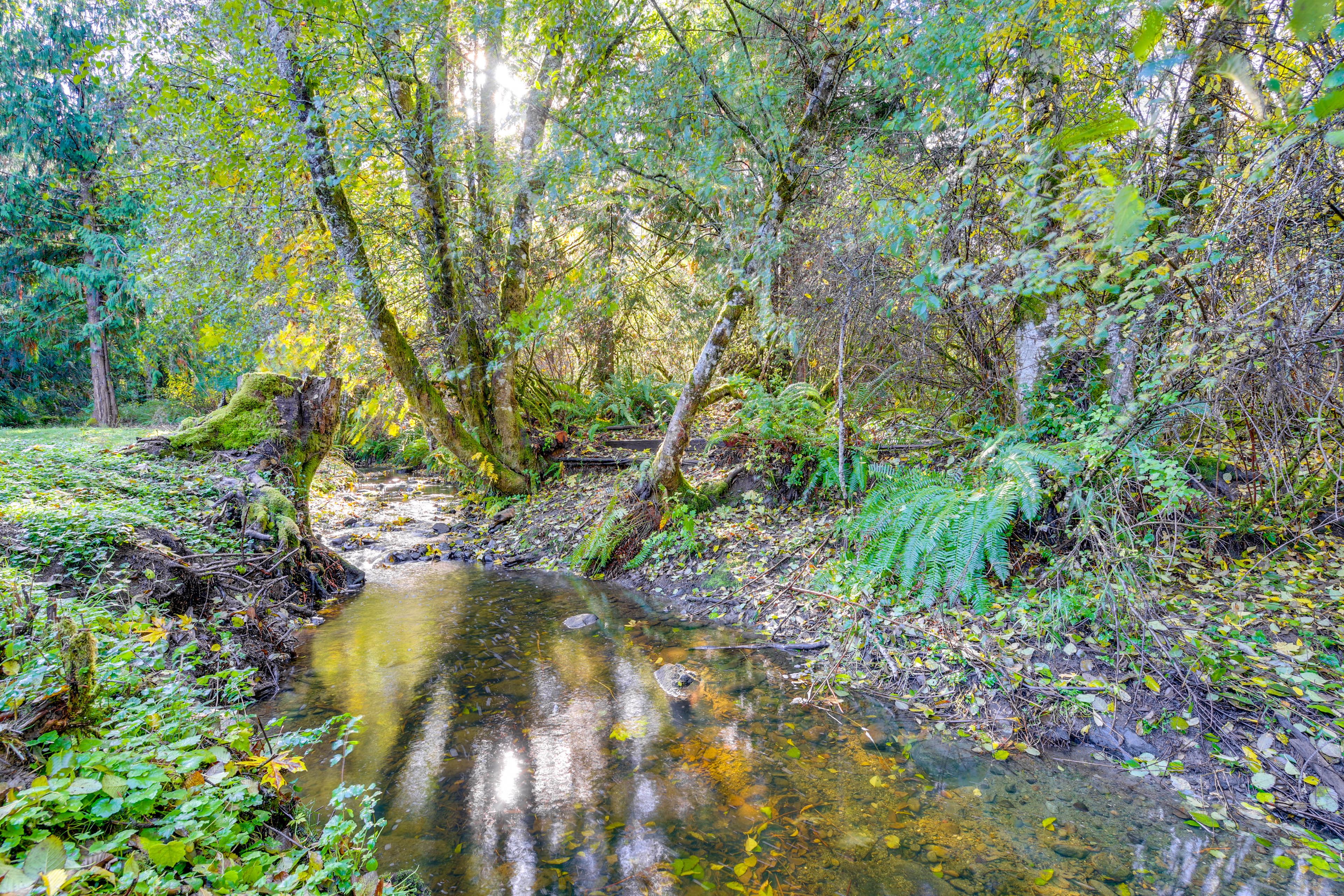 Peaceful Wooded Property | Year-Round Creek On-Site