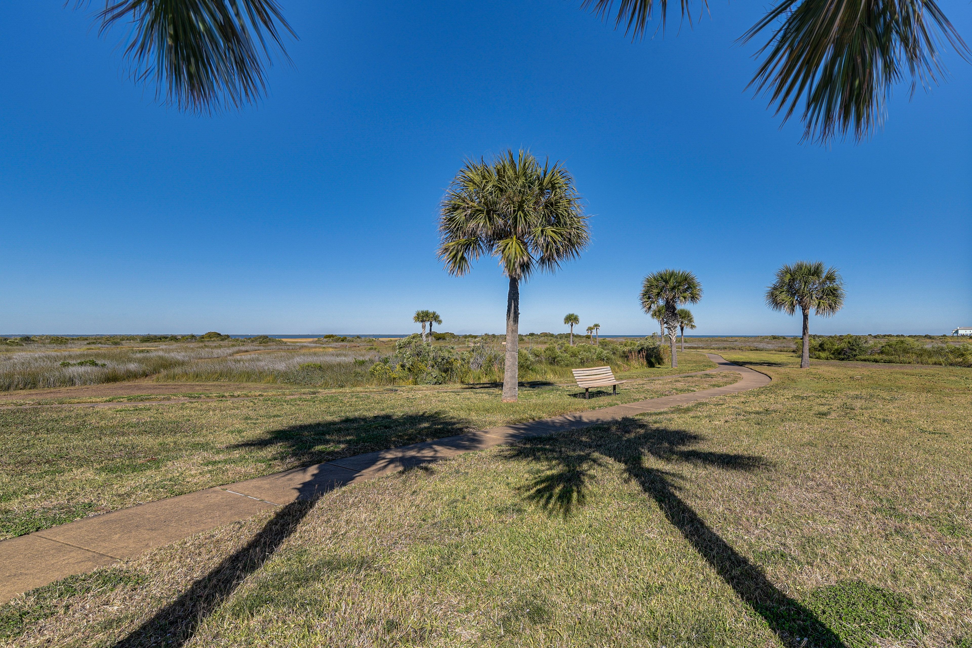 Walking Path to Beach