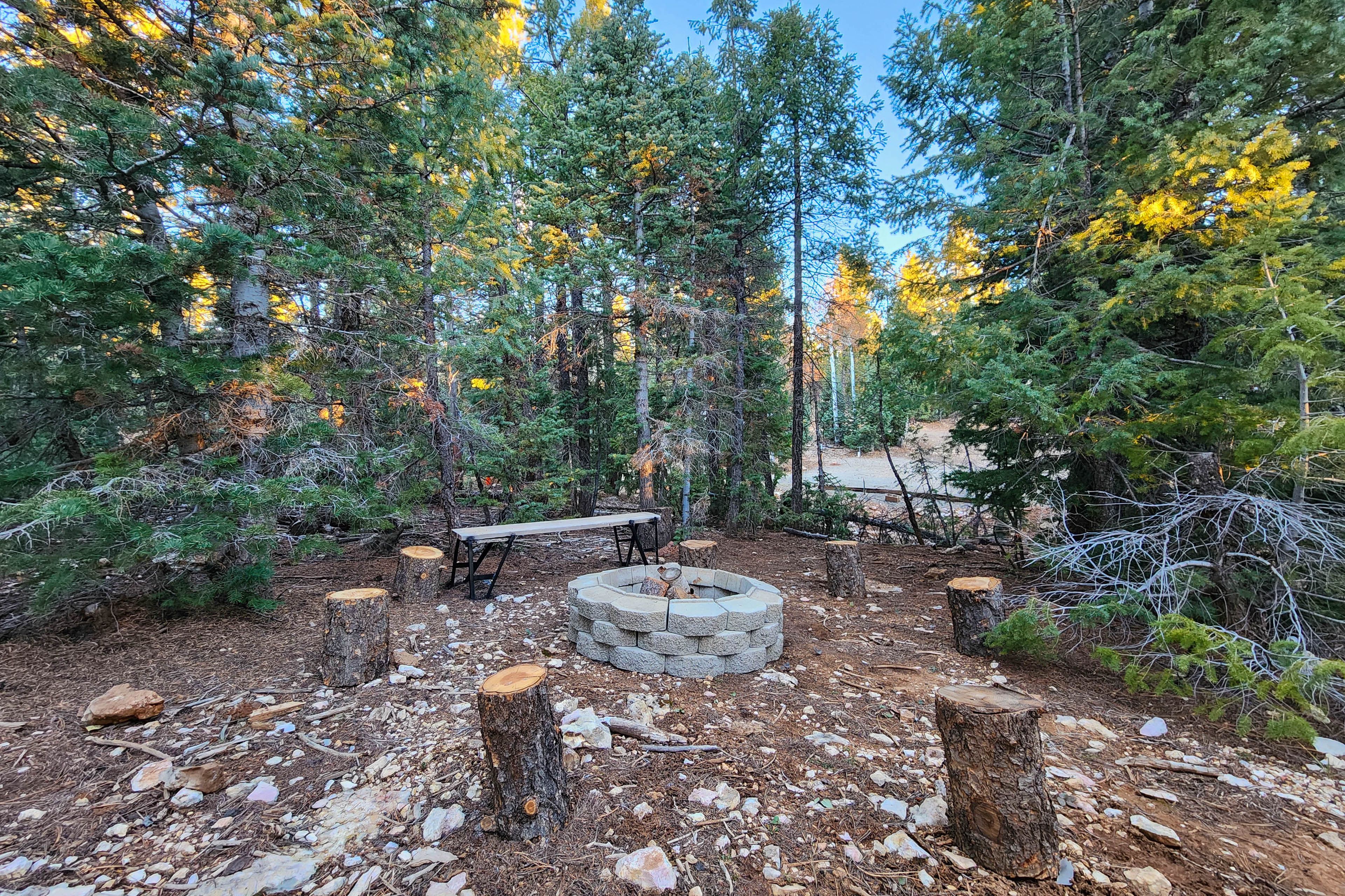 Backyard | Wood-Burning Fire Pit