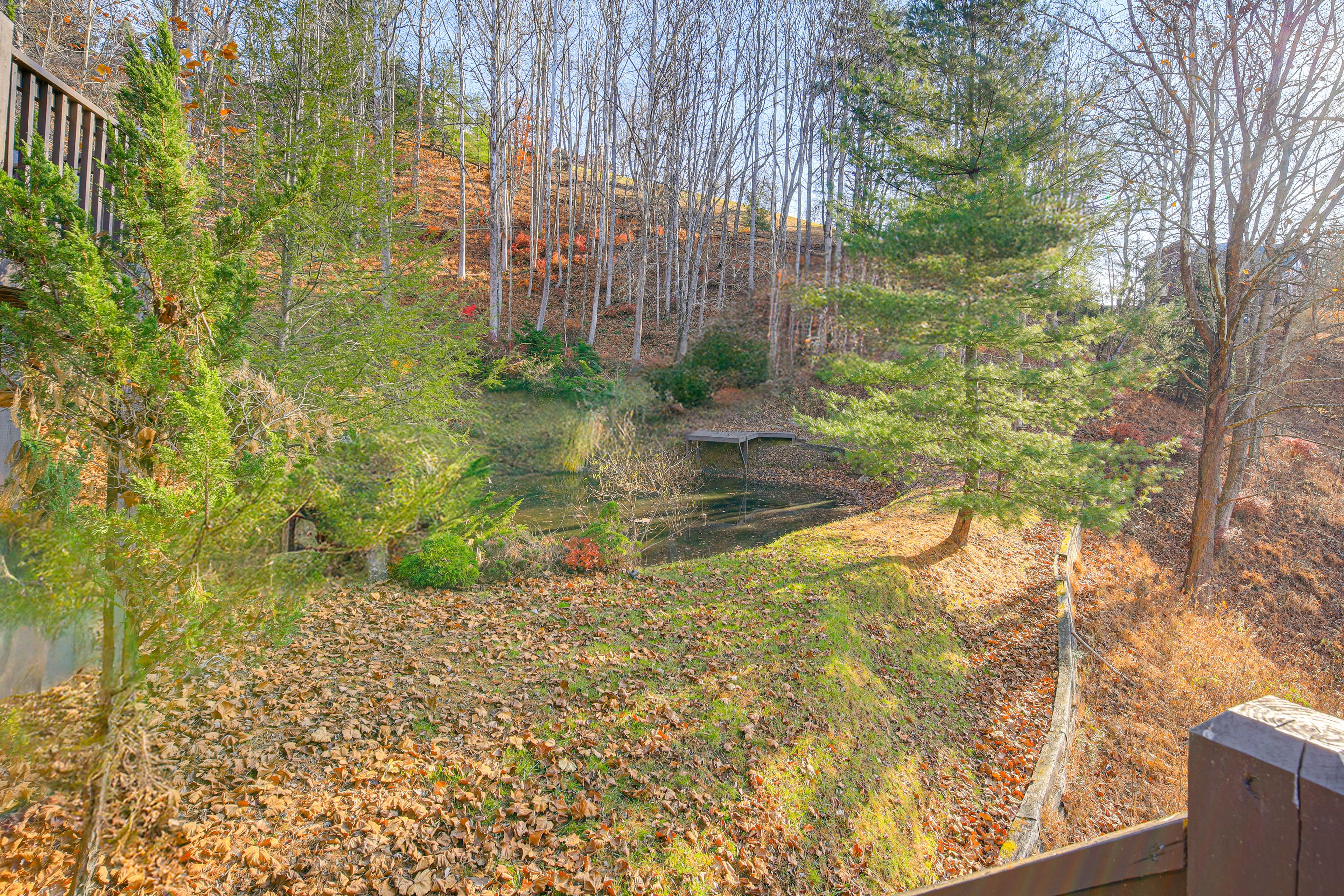 Cabin Exterior | Pond & Stream Access