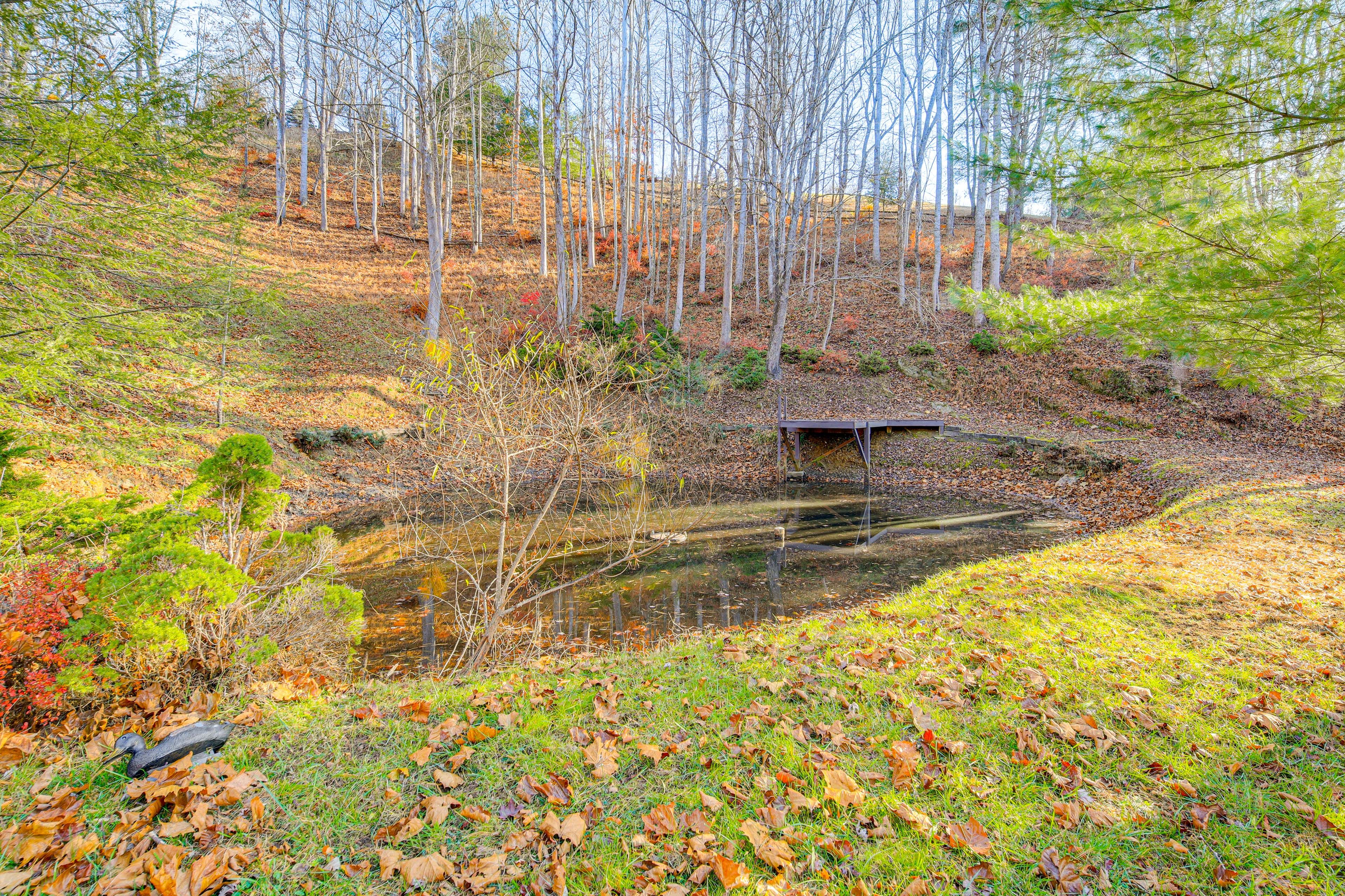 Cabin Exterior | Pond & Stream Access
