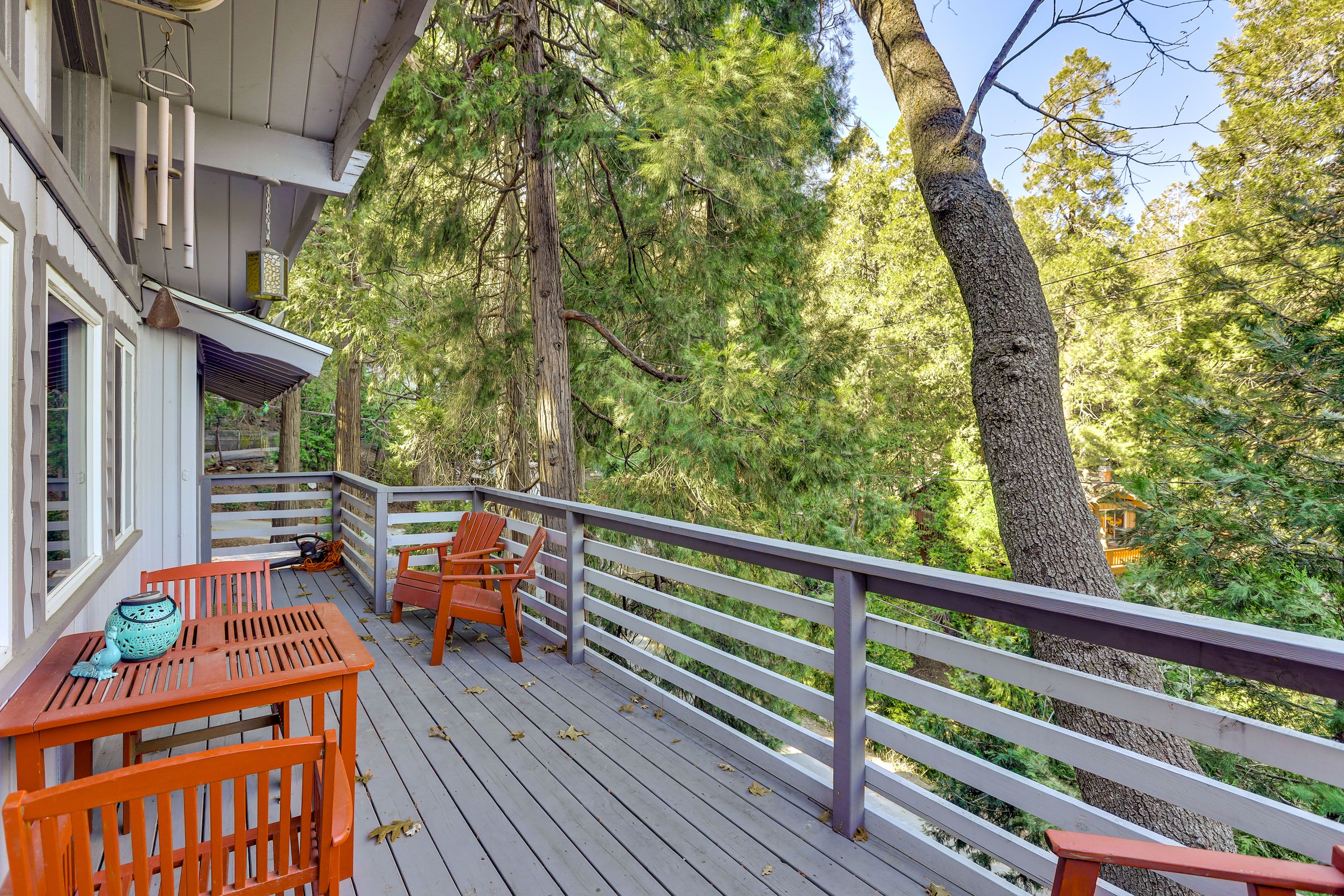 Deck 1 | Dining Area