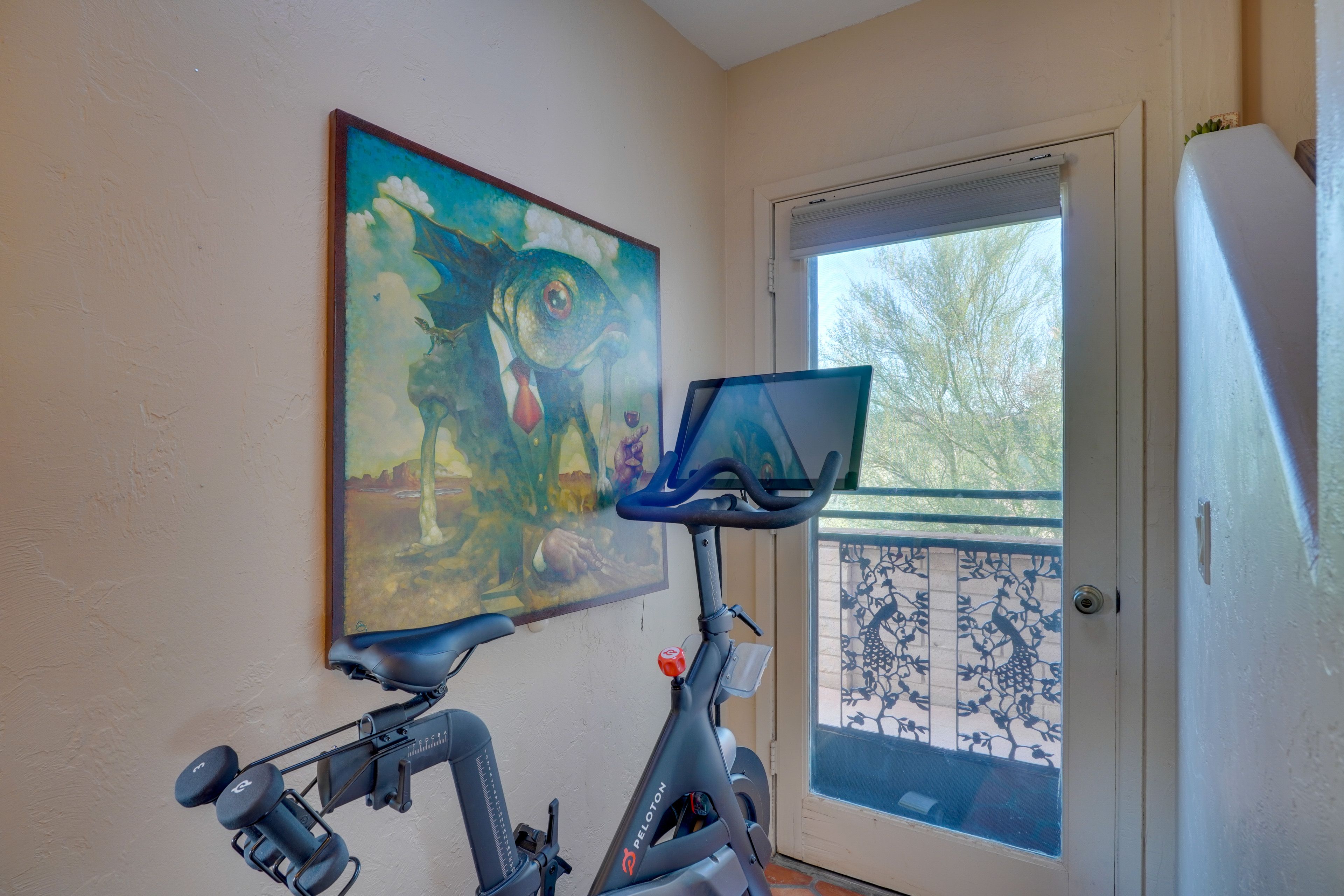 Peloton Bike | Main Level
