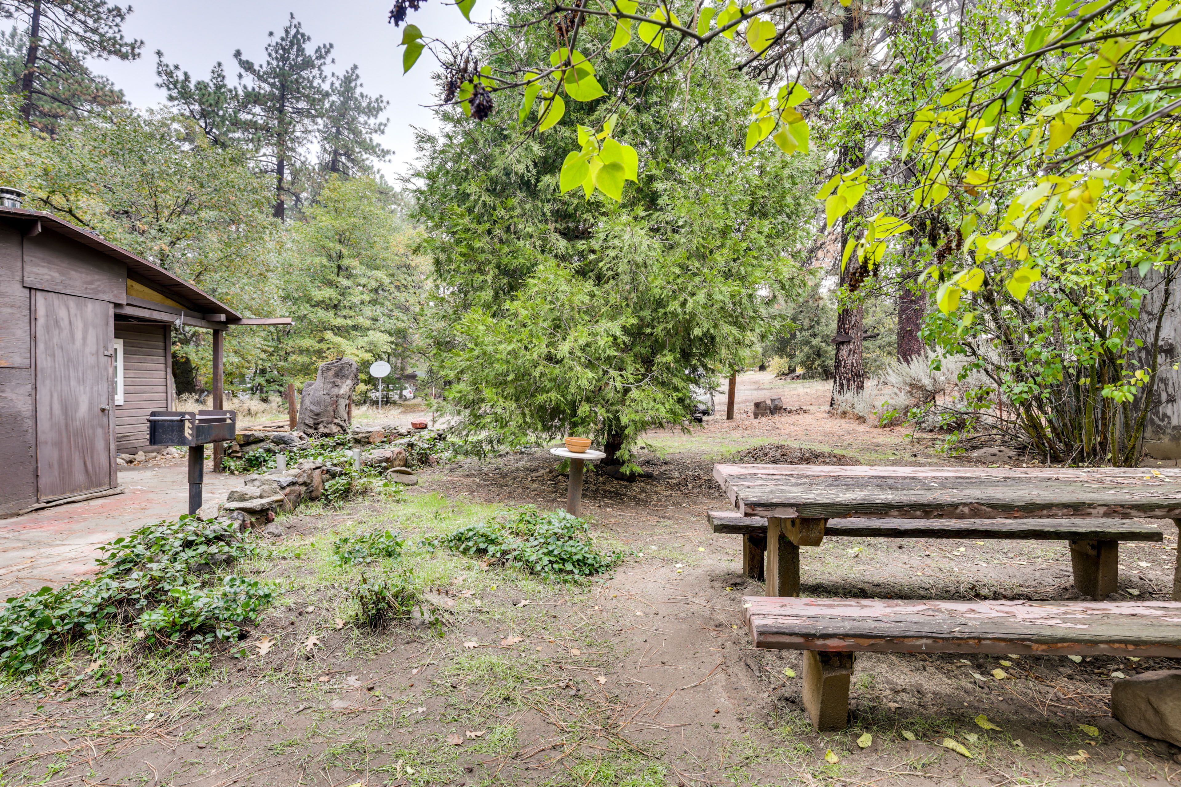 Private Outdoor Space | Charcoal Grill | Picnic Table